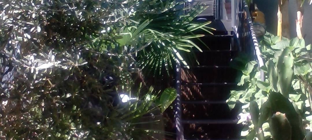 Der schönste Garten am Niederrhein