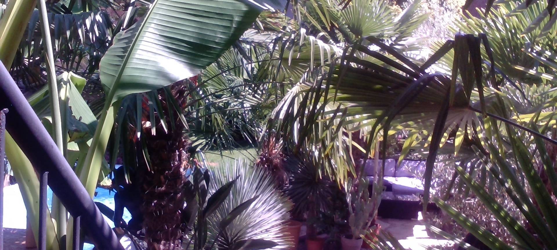 Der schönste Garten am Niederrhein