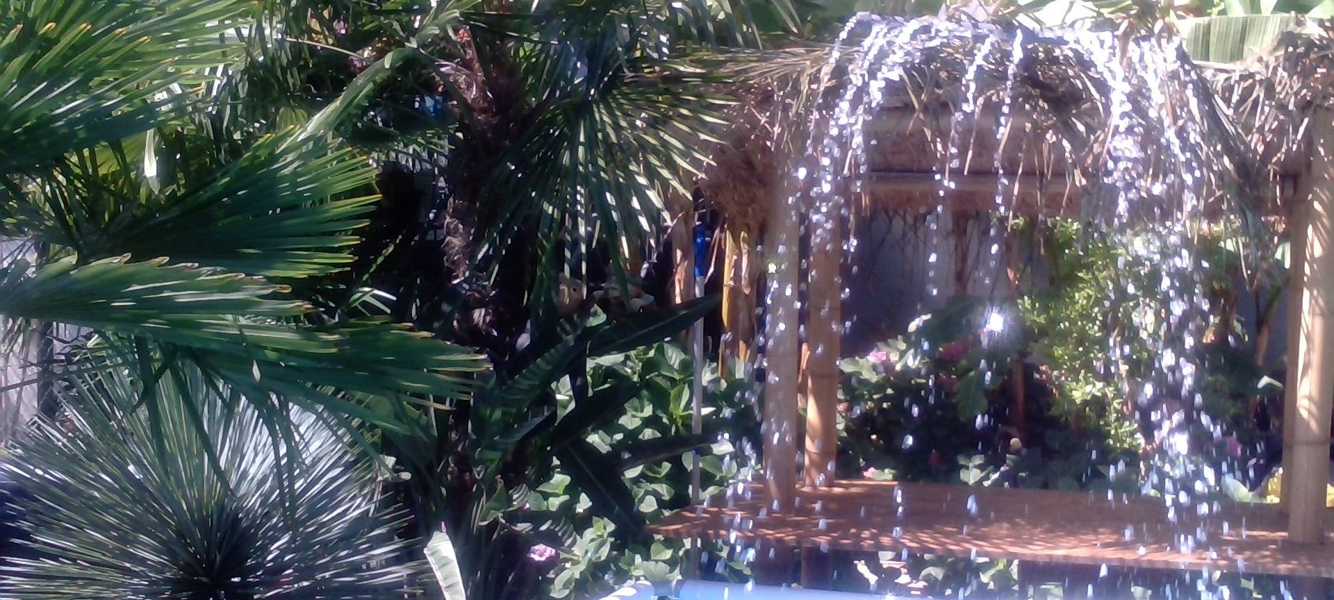 Der schönste Garten am Niederrhein