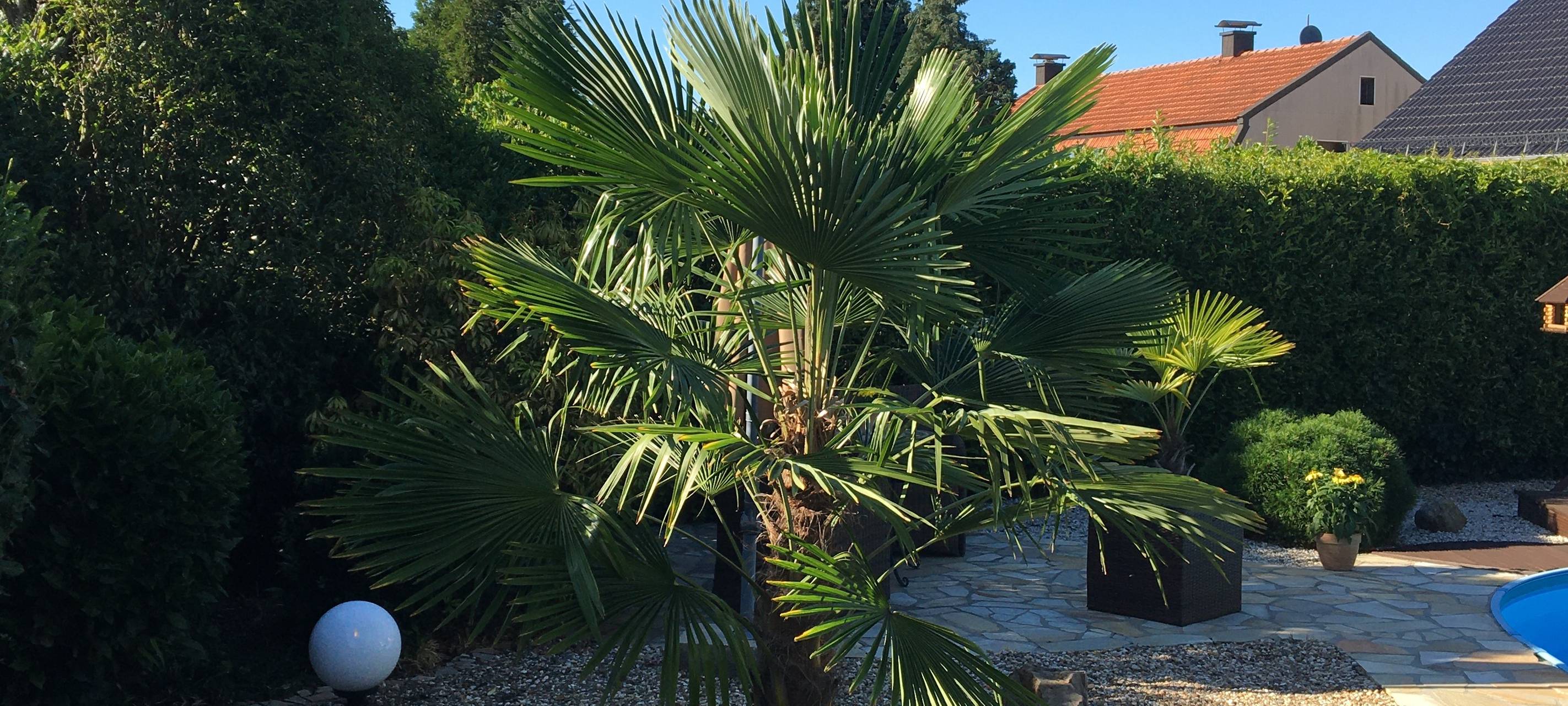 Der schönste Garten am Niederrhein