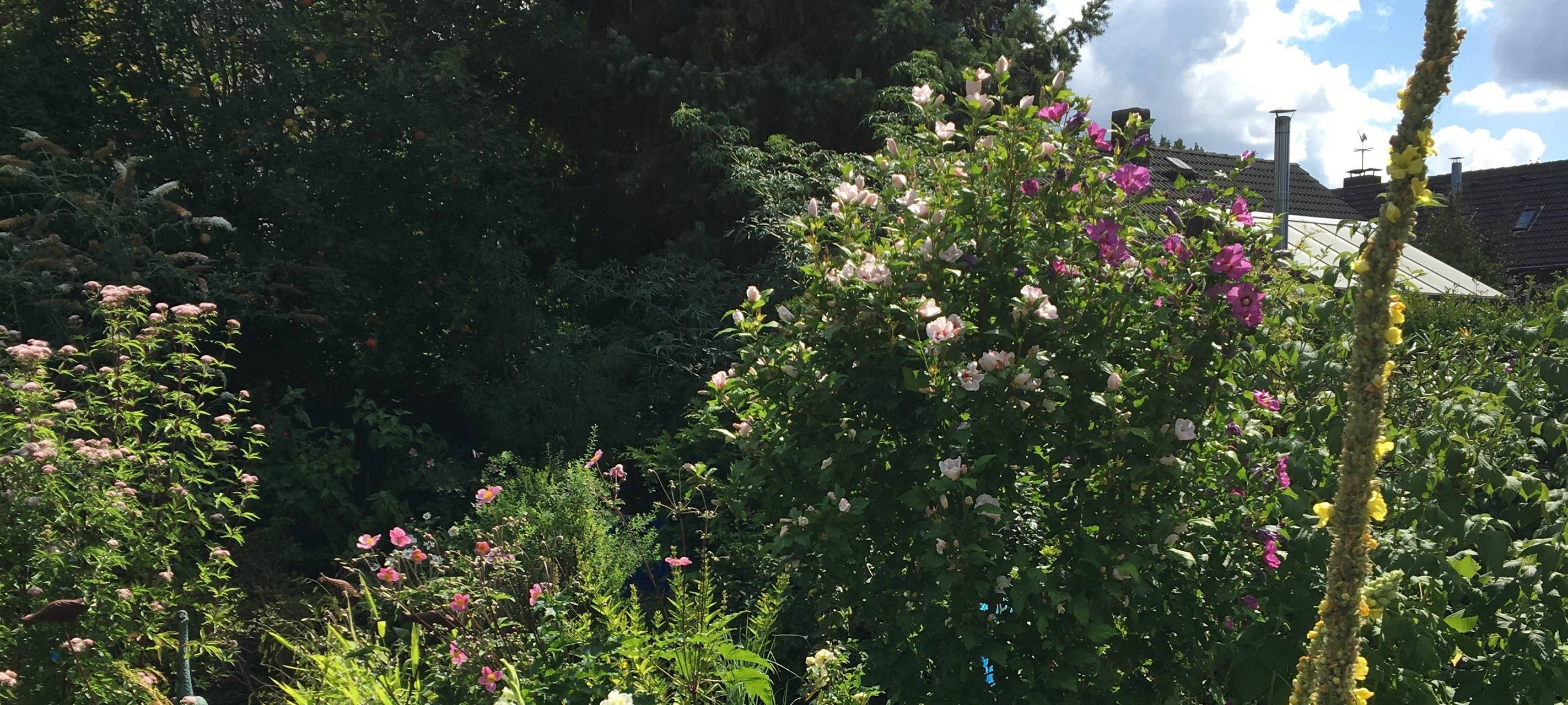 Der schönste Garten am Niederrhein