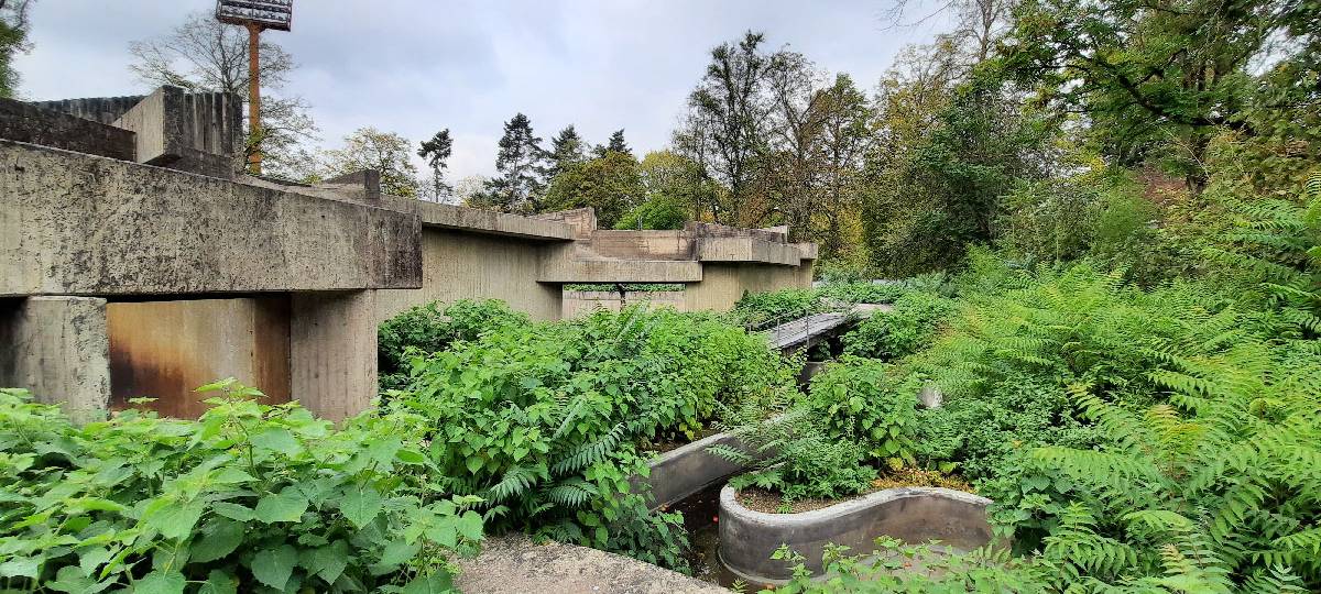Finanzierung für neuen Affenpark im Krefelder Zoo weiter unklar