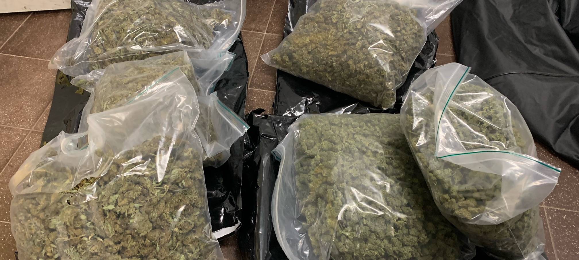 Zoll entdeckt Drogen und 80.000 Euro