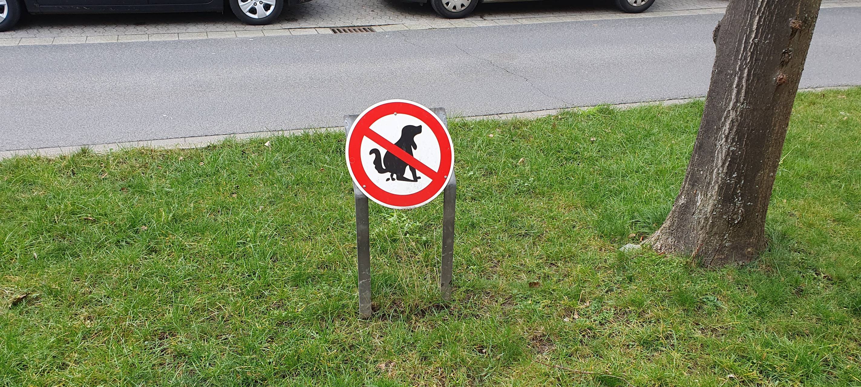 Niederrhein: Hundekot oft da, wo er nicht hingehört