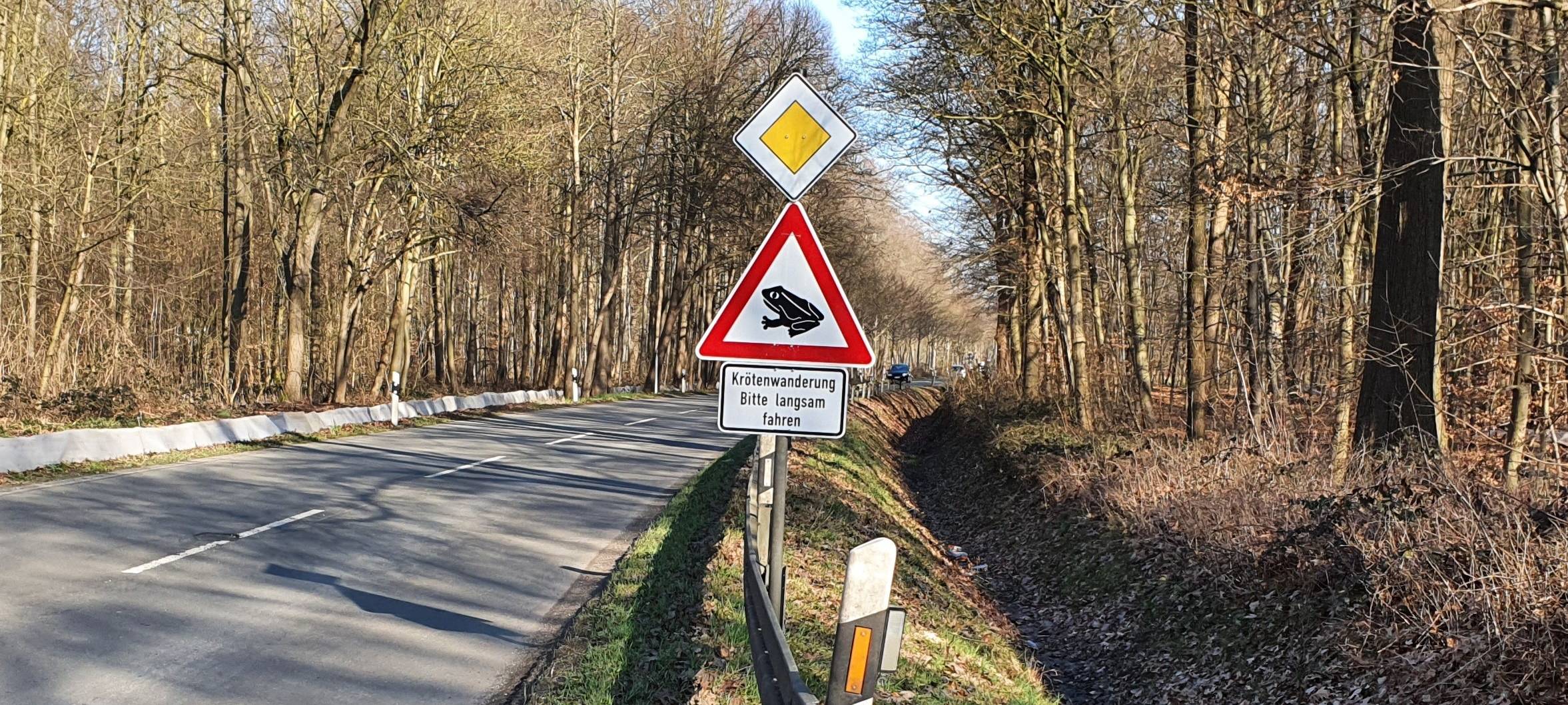 Krötenwanderung in Krefeld macht Straßensperrung nötig