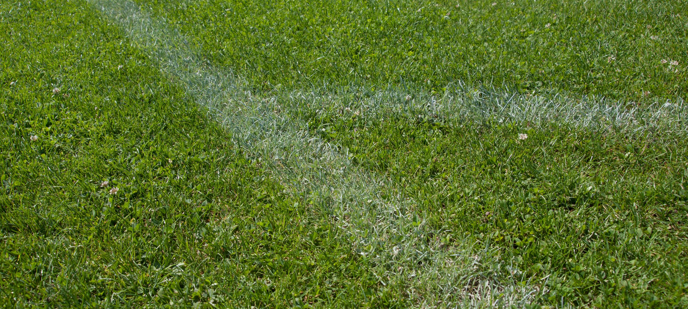 Torregen beim KFC - Remis bei Borussia