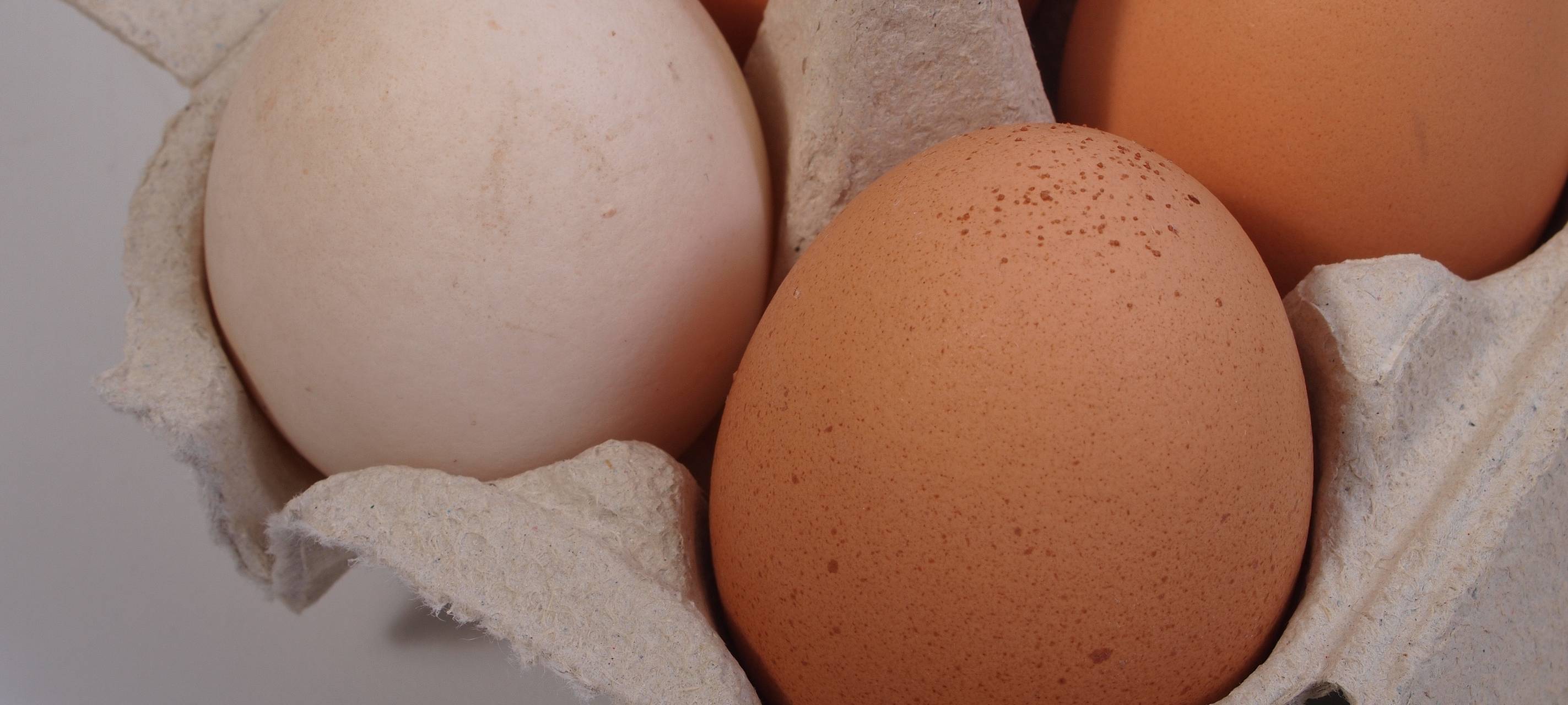 Kreisbauernschaft: Eier-Lieferprobleme am Niederrhein