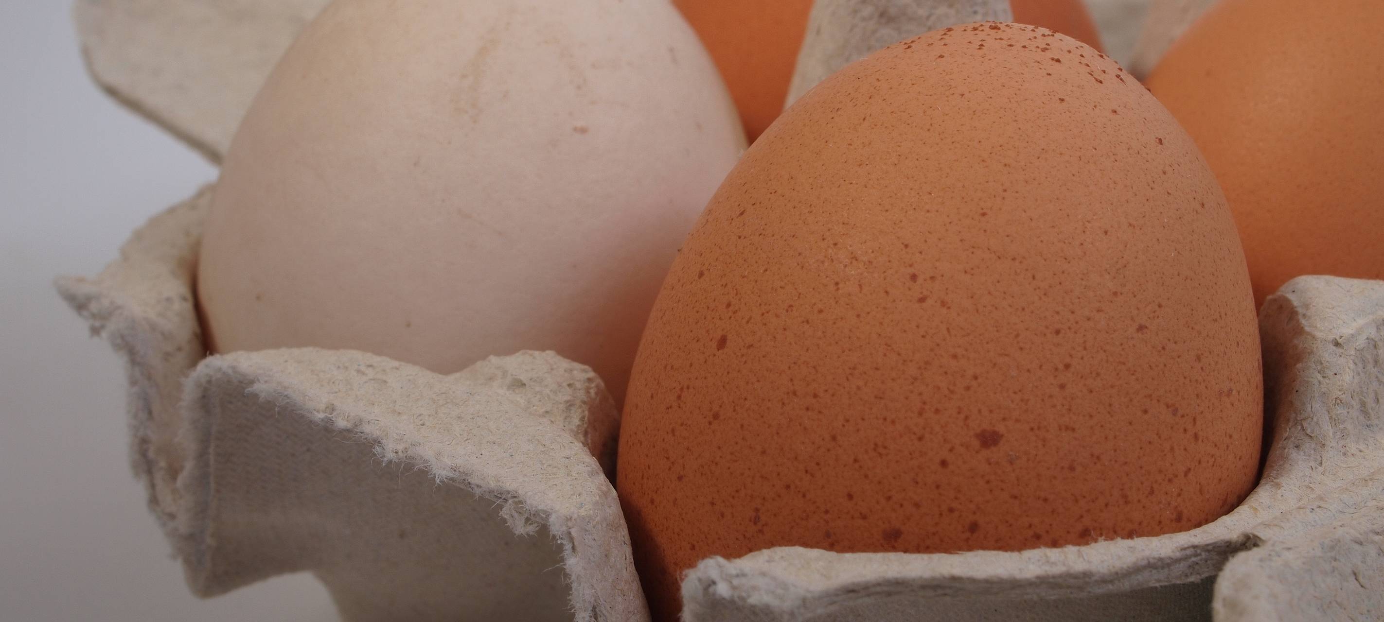 Eier-Rückruf vom Niederrhein