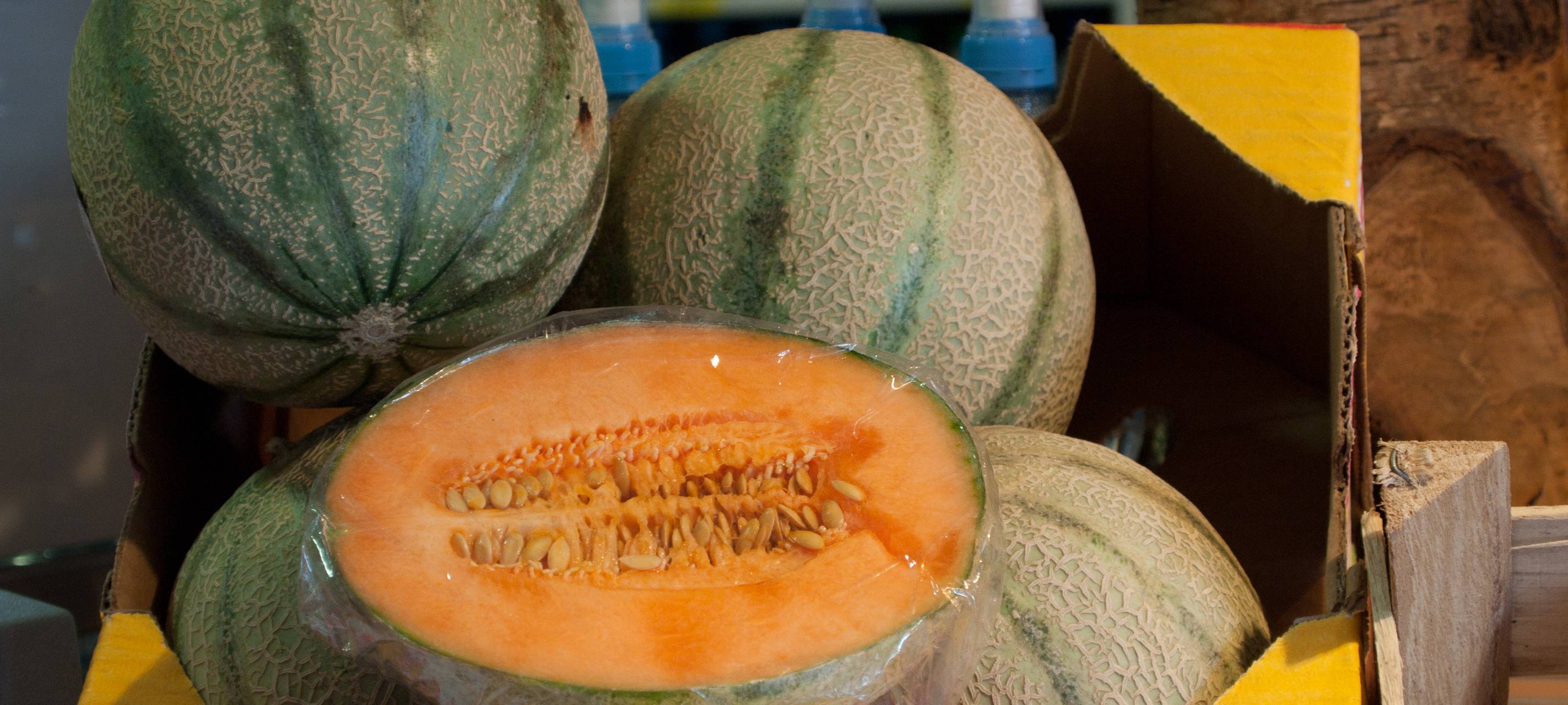 Tag der Bienen 20.05.19