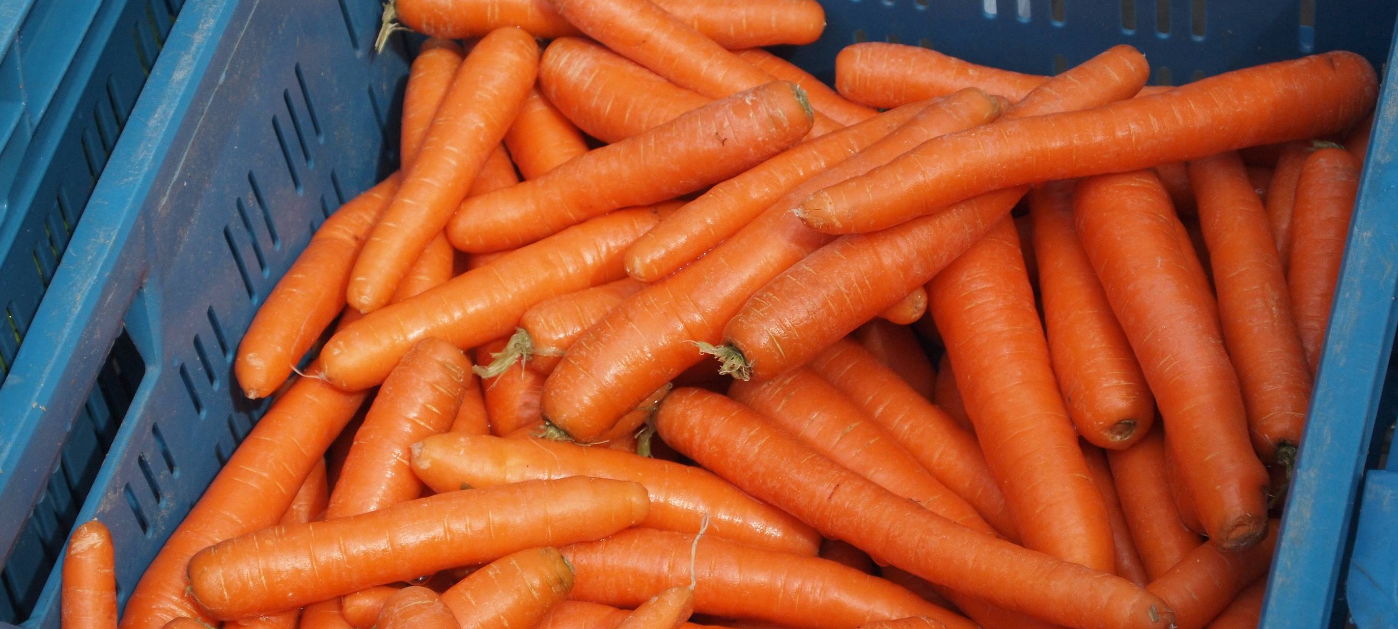 Tafel Nettetal wieder im Einsatz