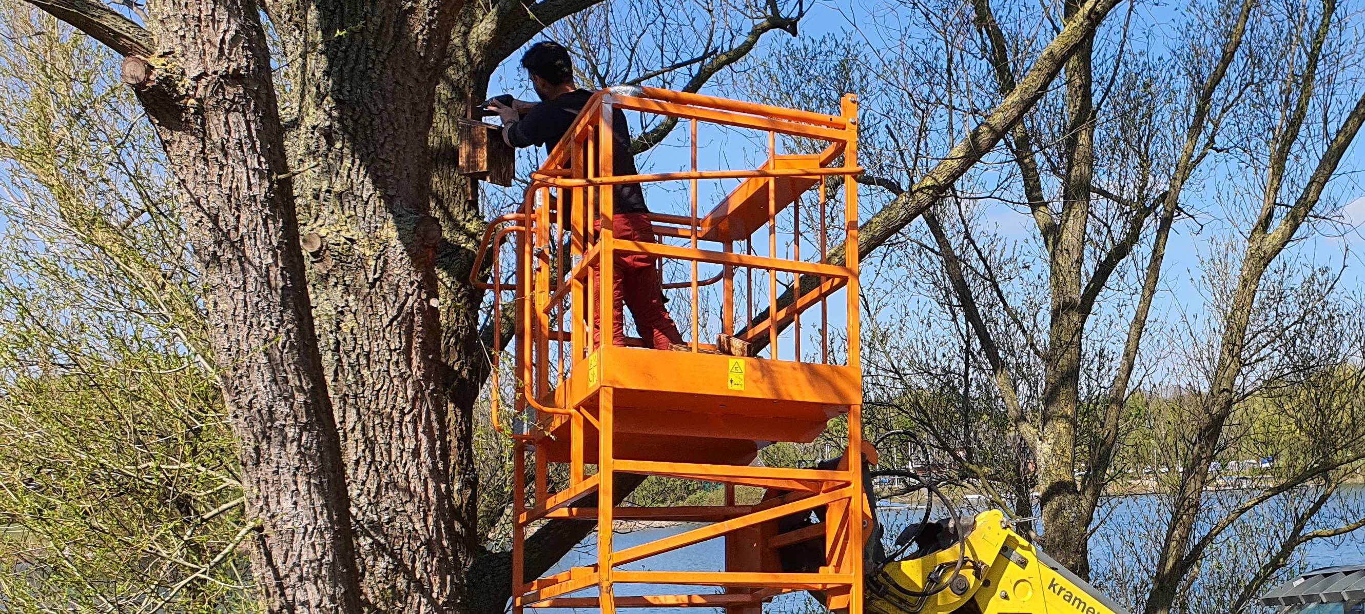 Meisen gegen Raubenplage