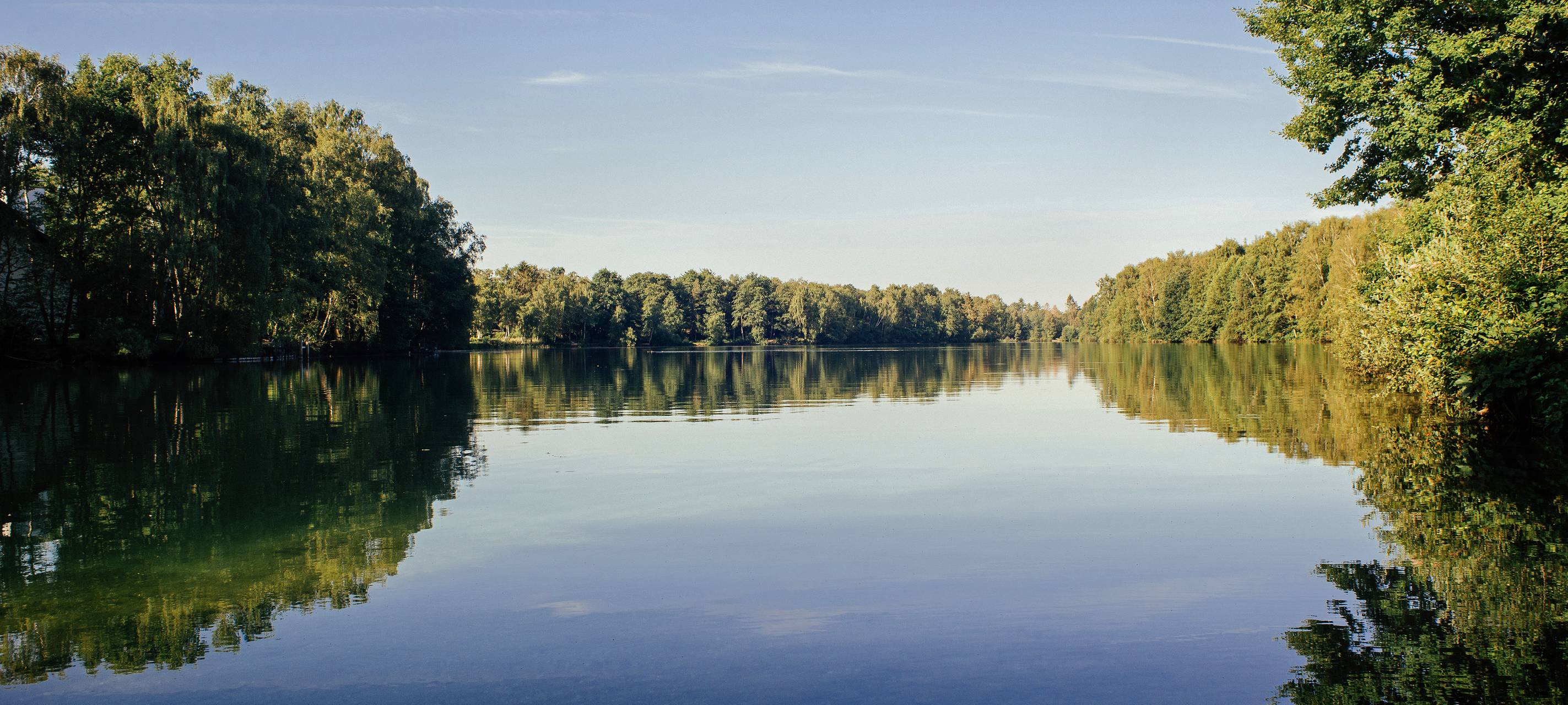 Maßnahmen für Dahmen- und Venekotensee geplant