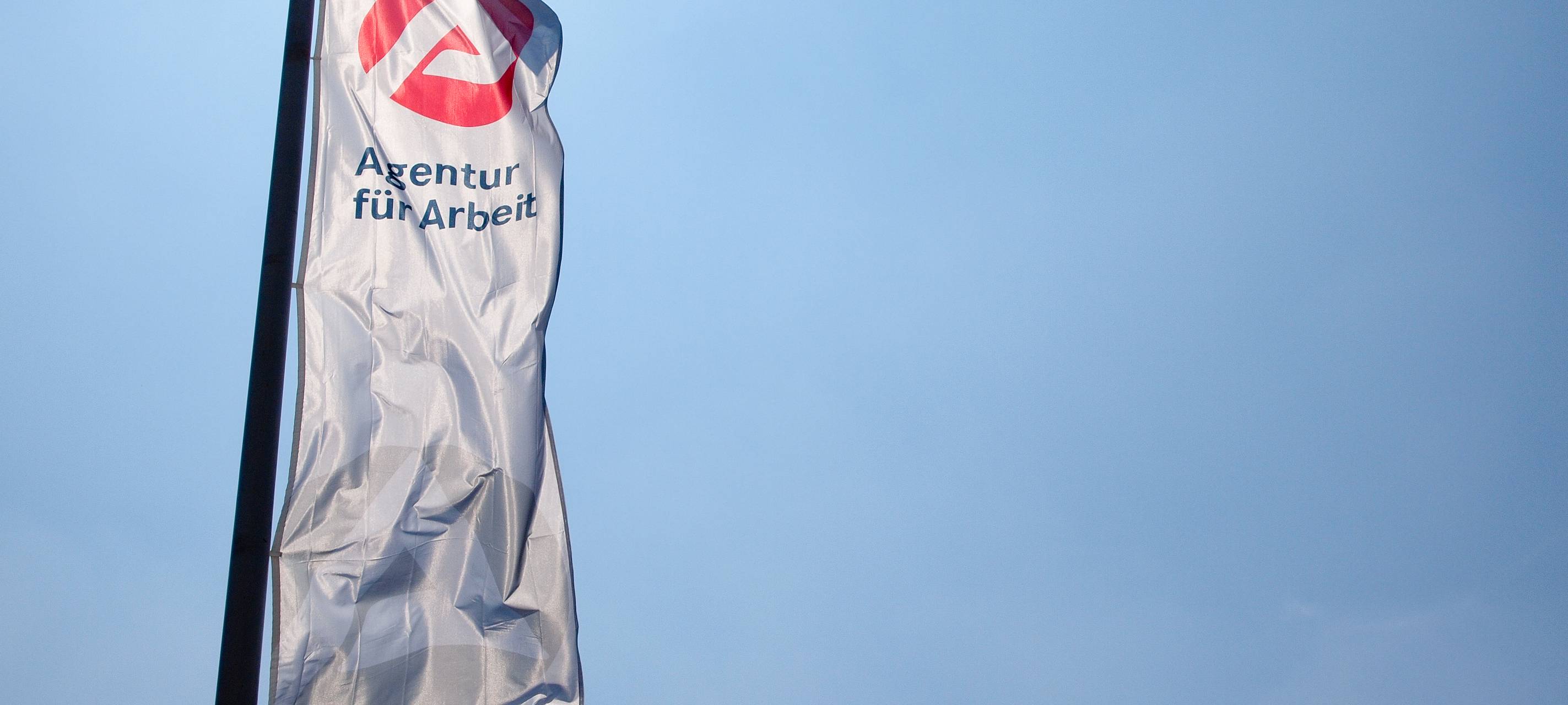 FDP fordert Analyse des Arbeitsmarkts