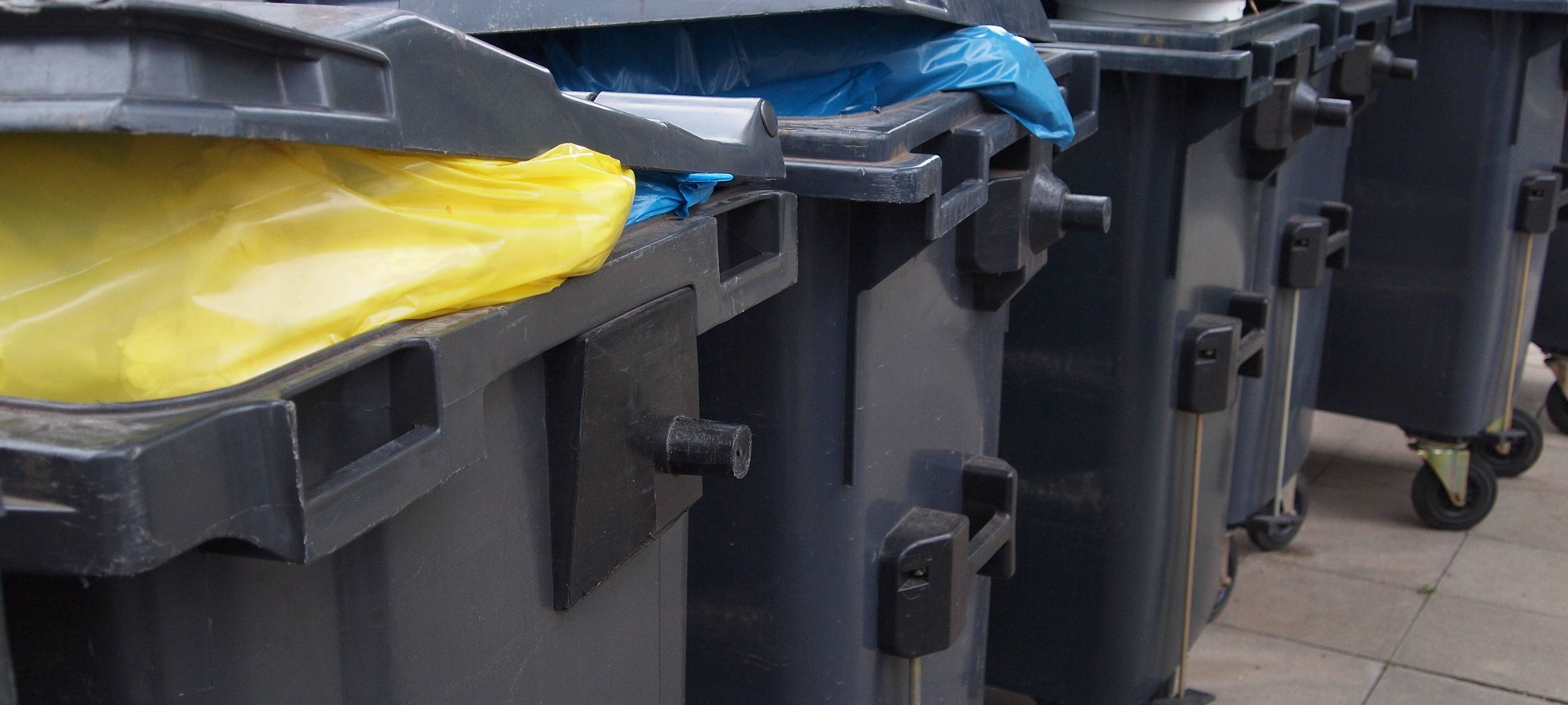 Weniger in der Mülltonne