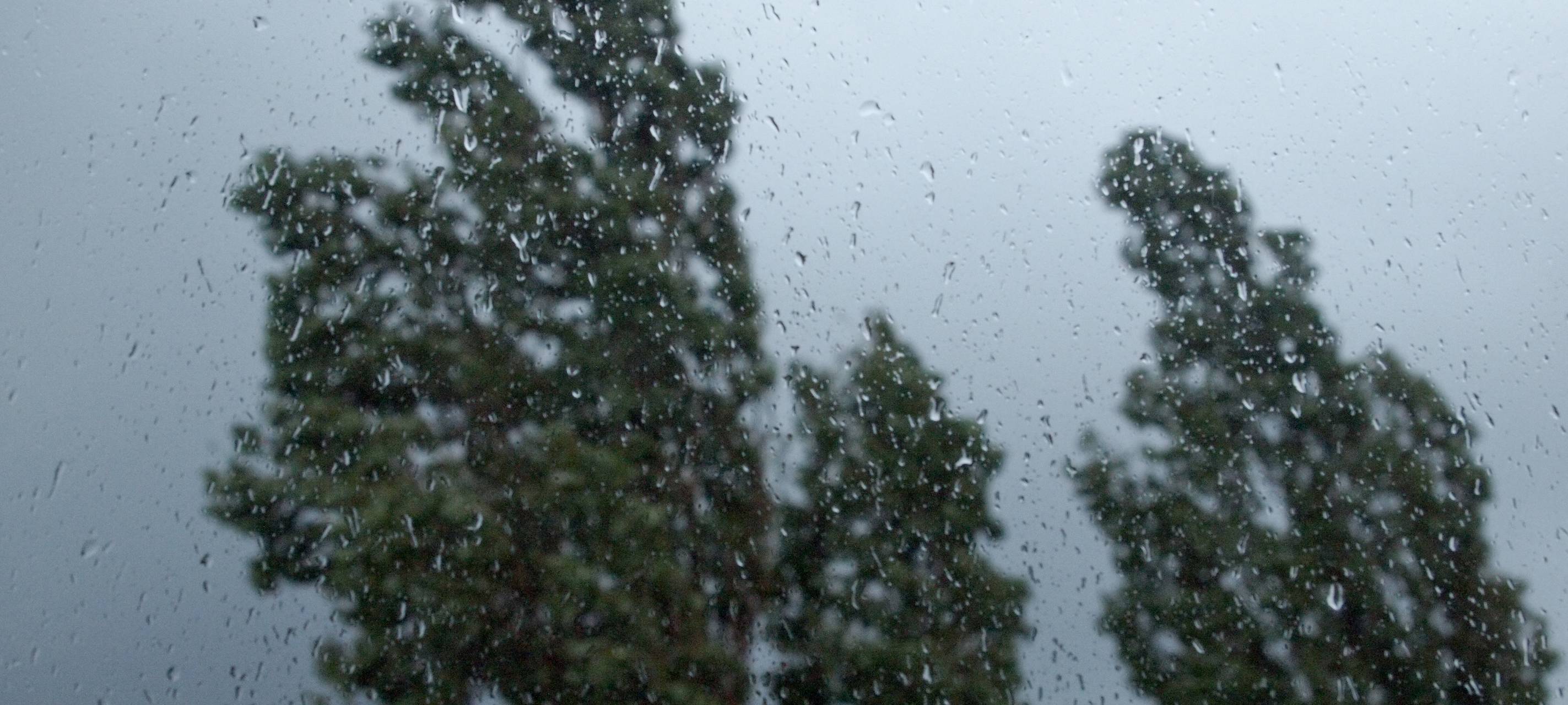 Besserer Schutz vor Starkregen gefordert