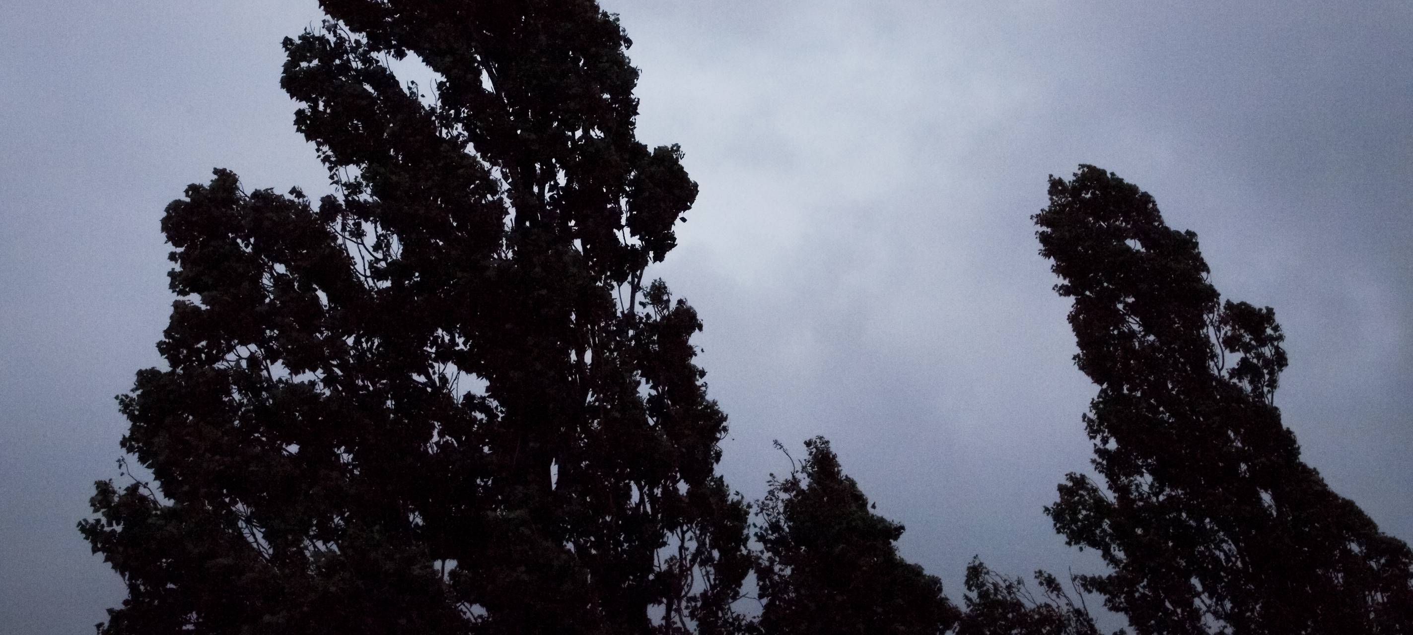 Was wir über den Sturm wissen