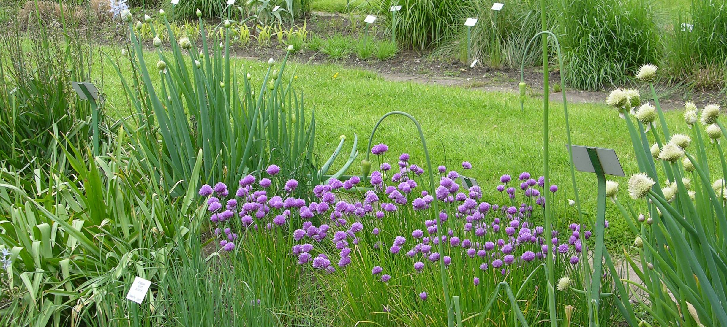 Botanischer Garten wieder für Besucher offen