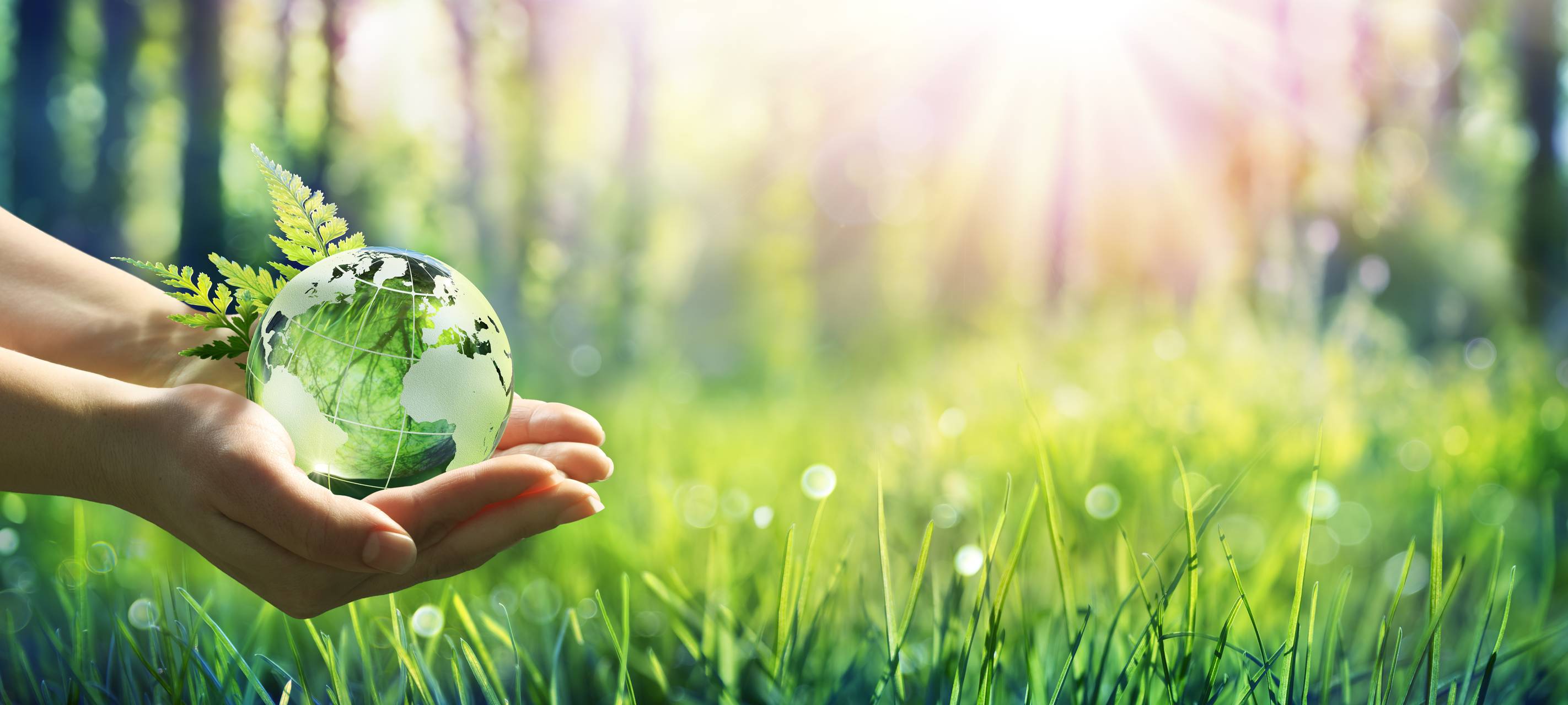 Stadt Nettetal sucht Klimaschutz-Projekte