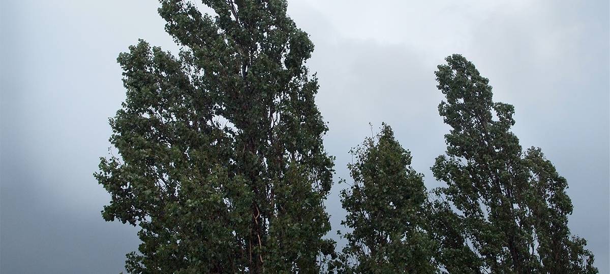 Unwetter am Niederrhein: Ruhige Nacht für die Einsatzkräfte