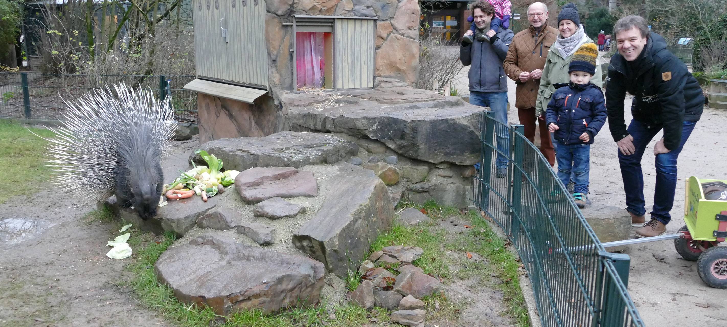 Neues Stachelschweingehege im Zoo