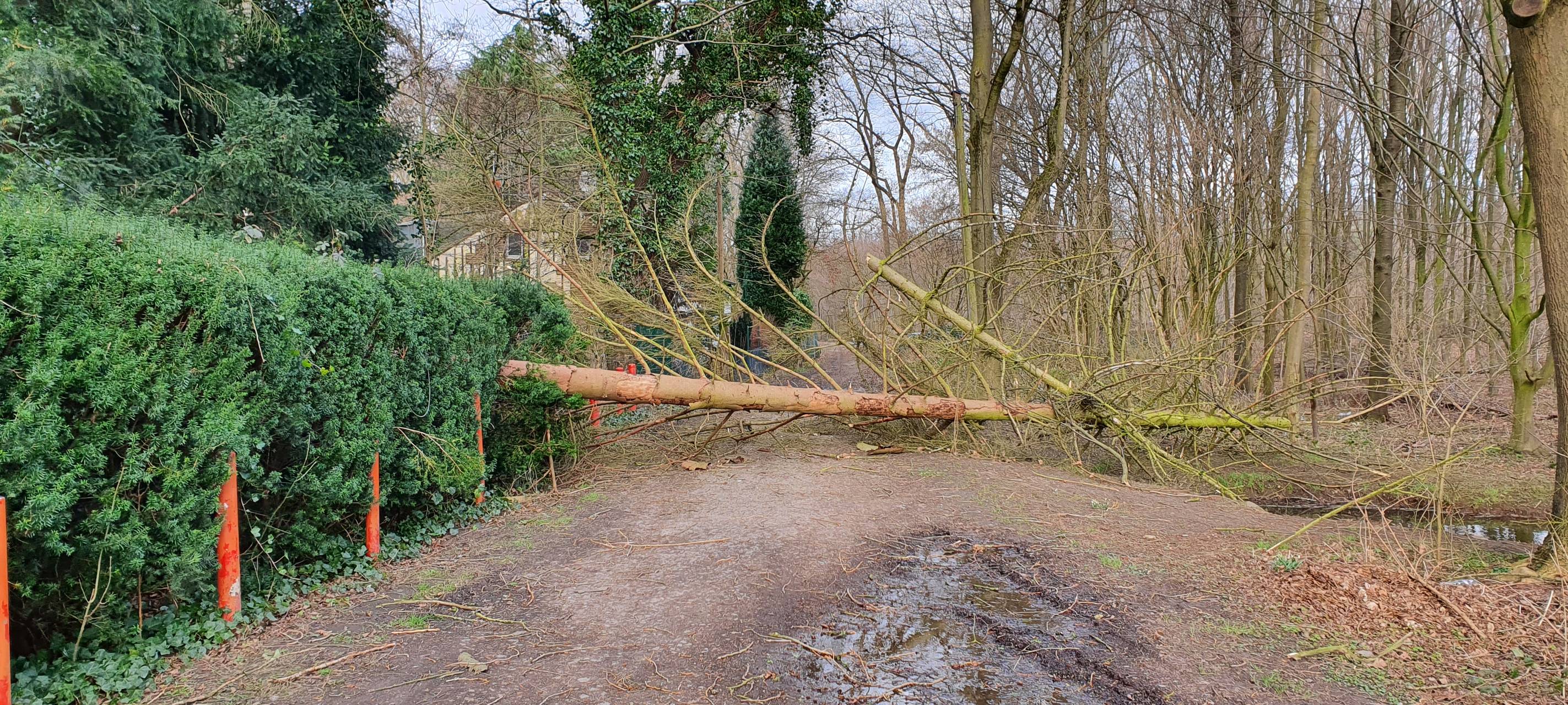 IG BAU macht auf Klimaprobleme am Niederrhein aufmerksam