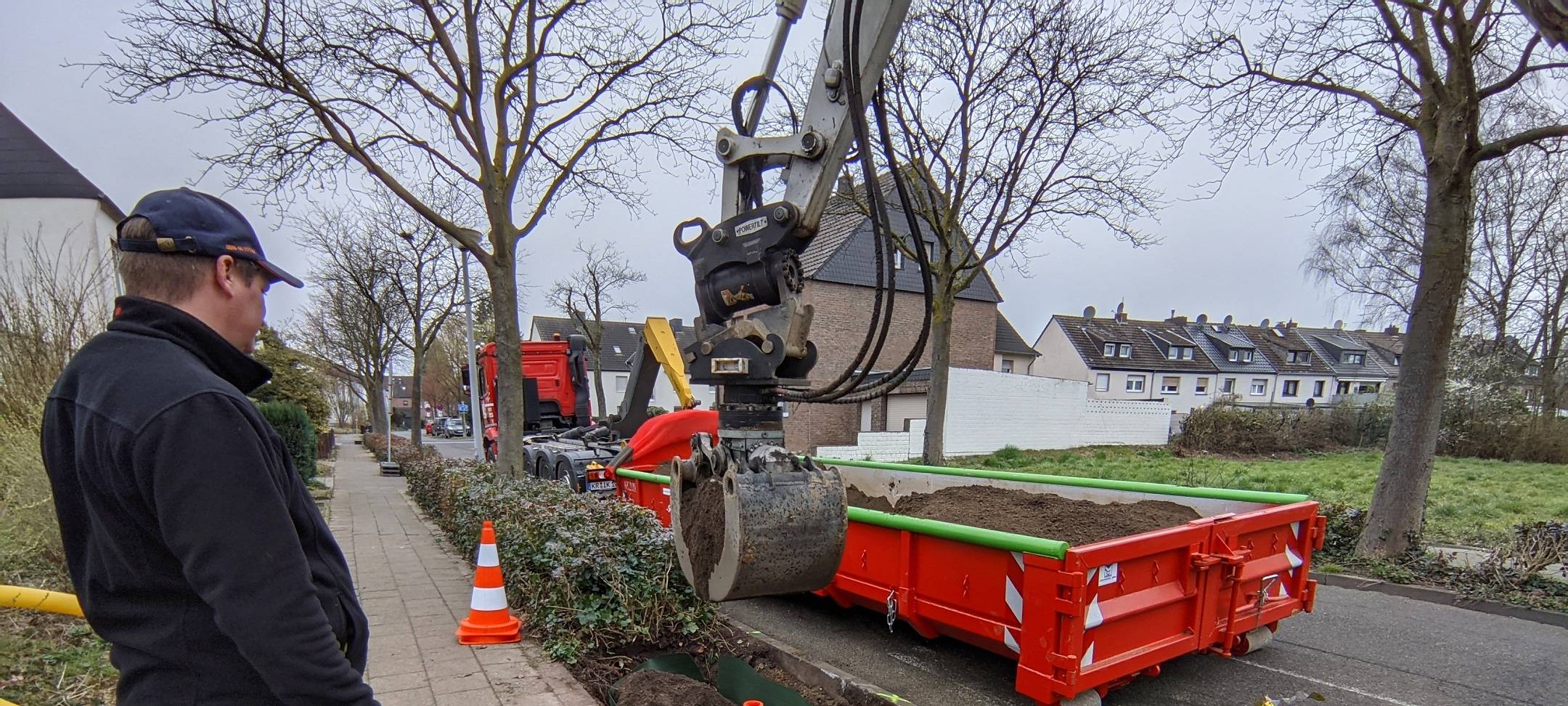 EU fördert neue Bäume in Viersen