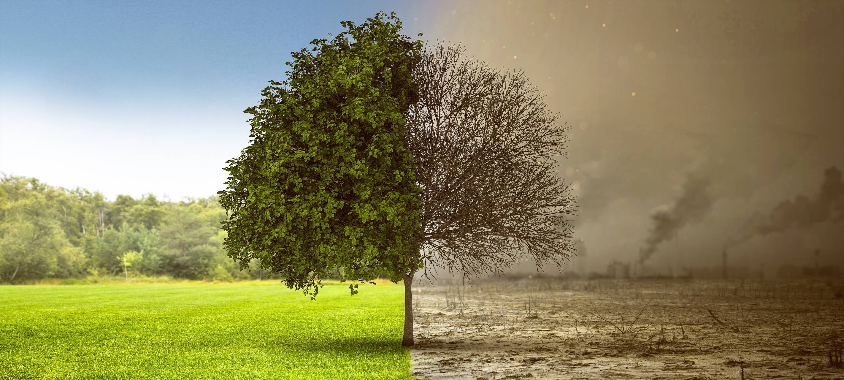 Nettetal plant Maßnahmen gegen Klimawandel