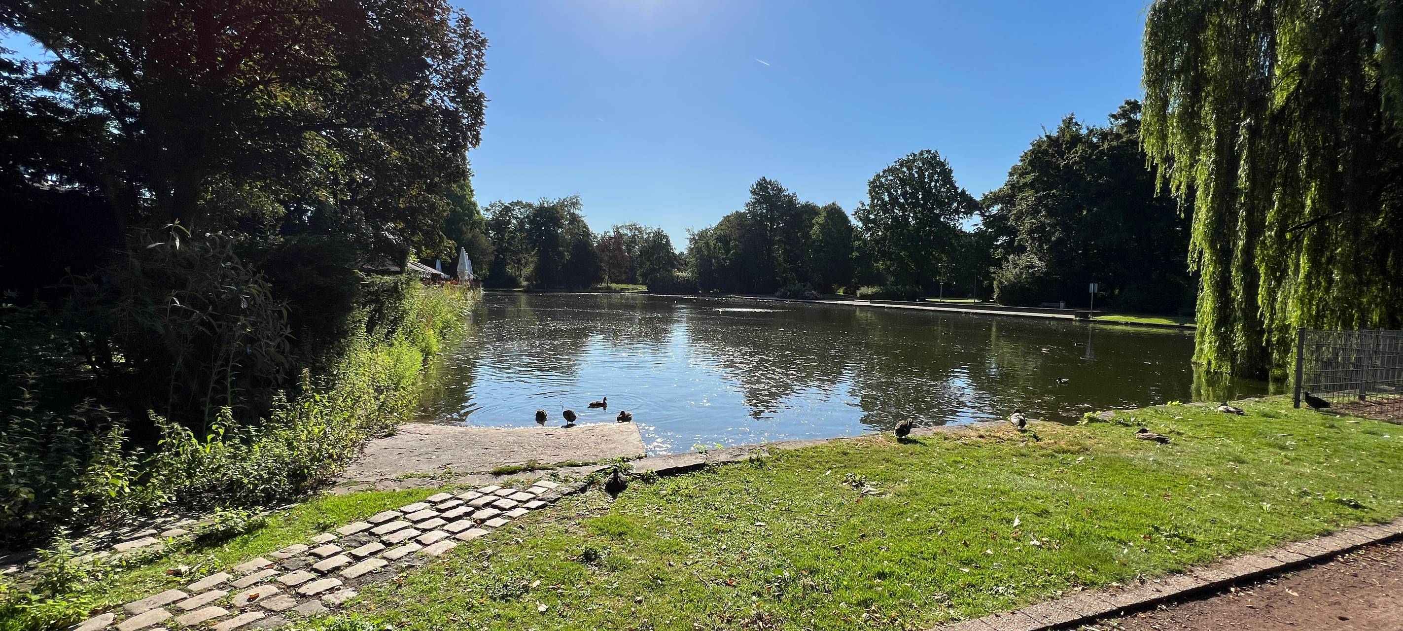 Willich stellt Pläne für Konrad-Adenauer-Park vor