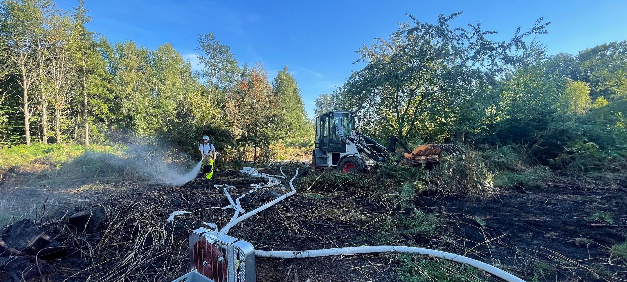 Waldbrandeinsatz in Dornbusch
