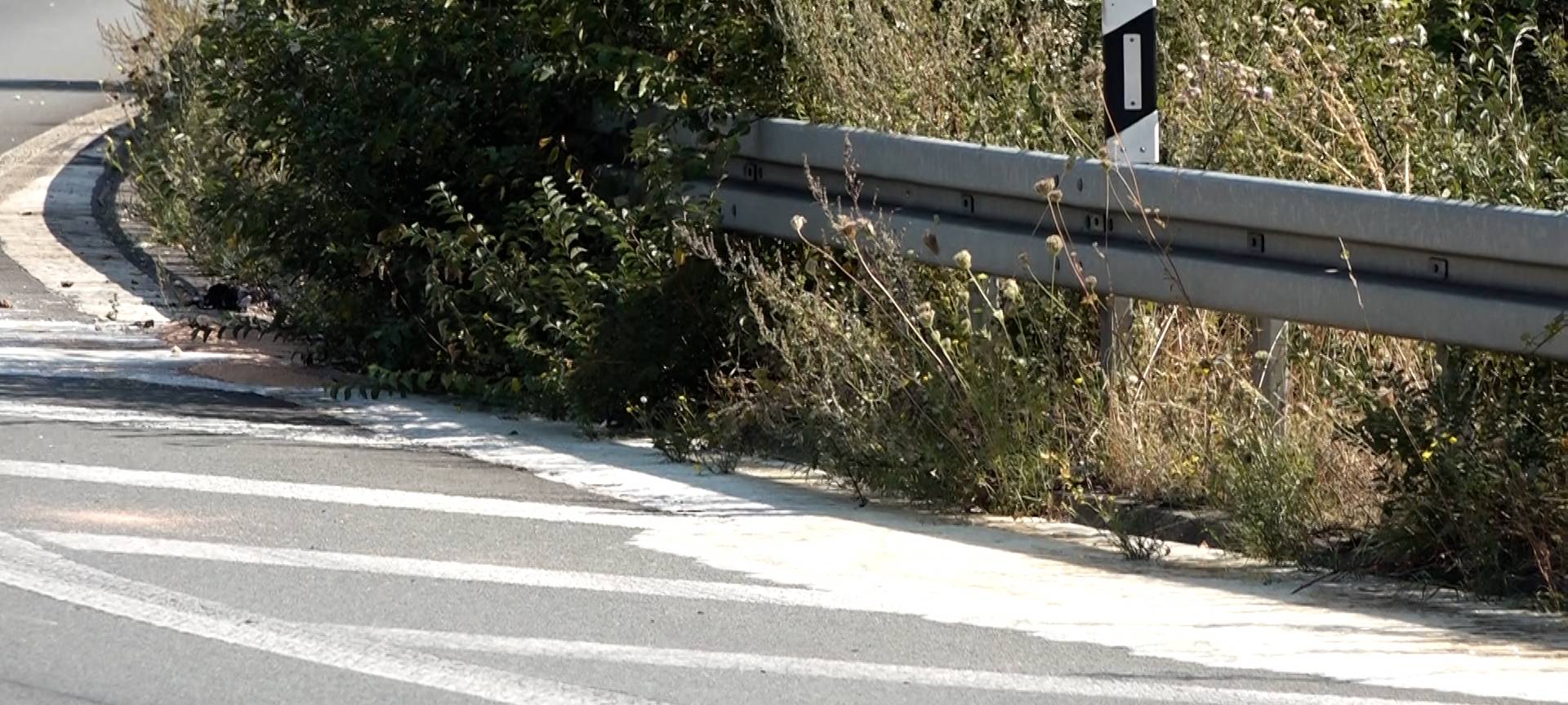 Fotos: Alexander Forstreuter, Blaulicht News.