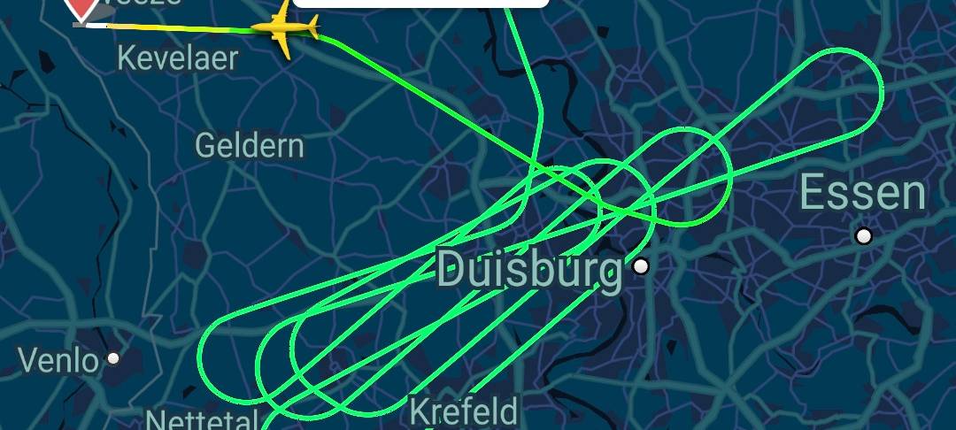 Flugzeug von Vogelschlag getroffen