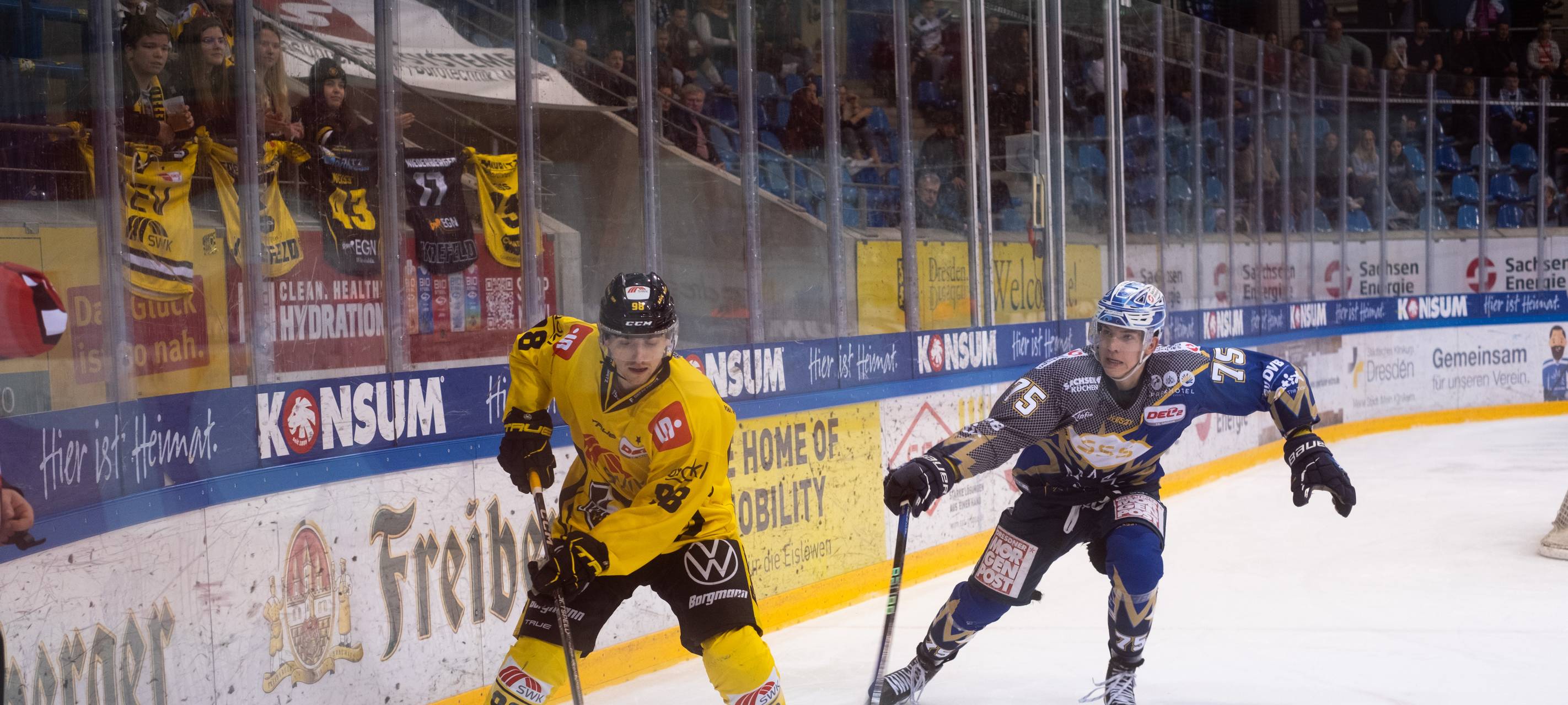 Pinguine mit Playoffs-Niederlage gegen Dresden
