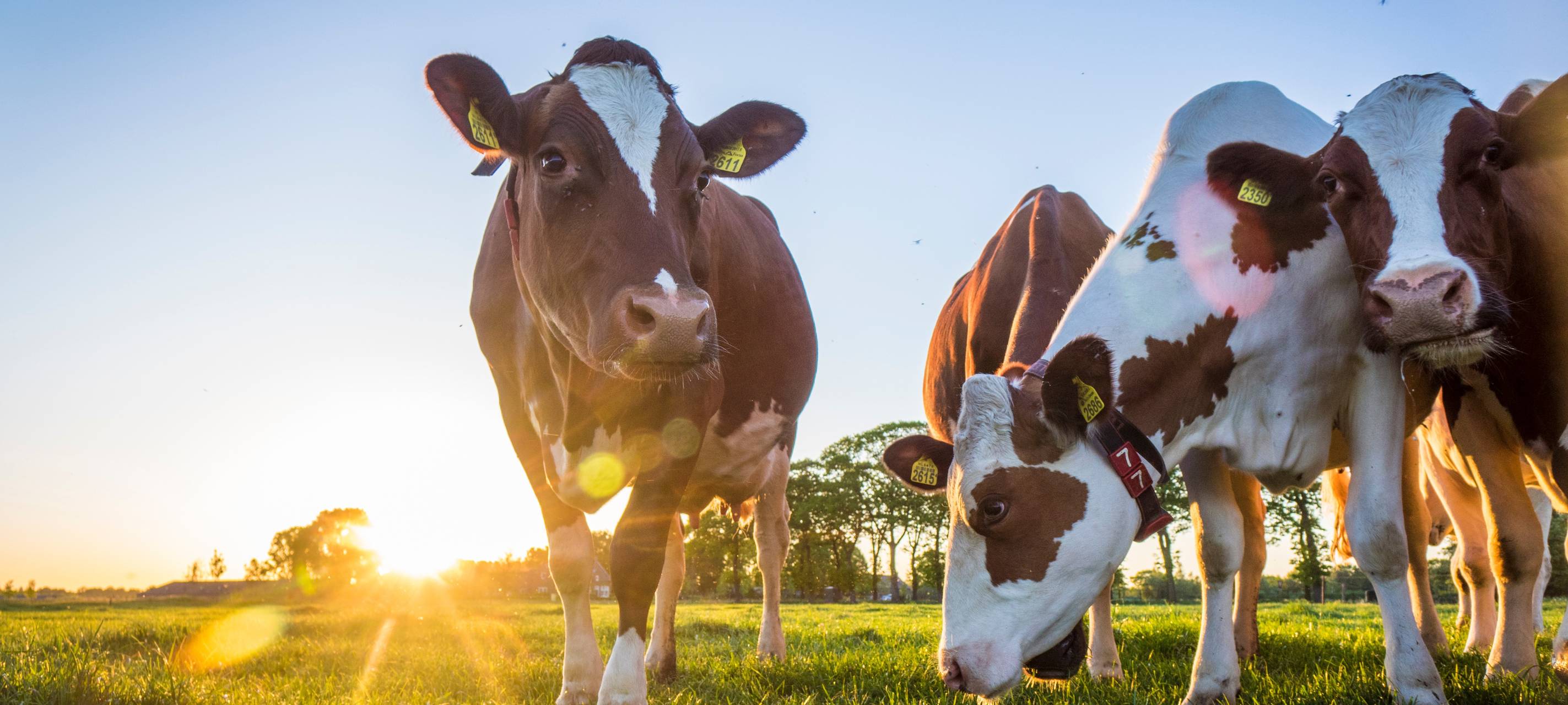 Der Stautenhof in Willich-Anrath nimmt an BioWochen NRW teil