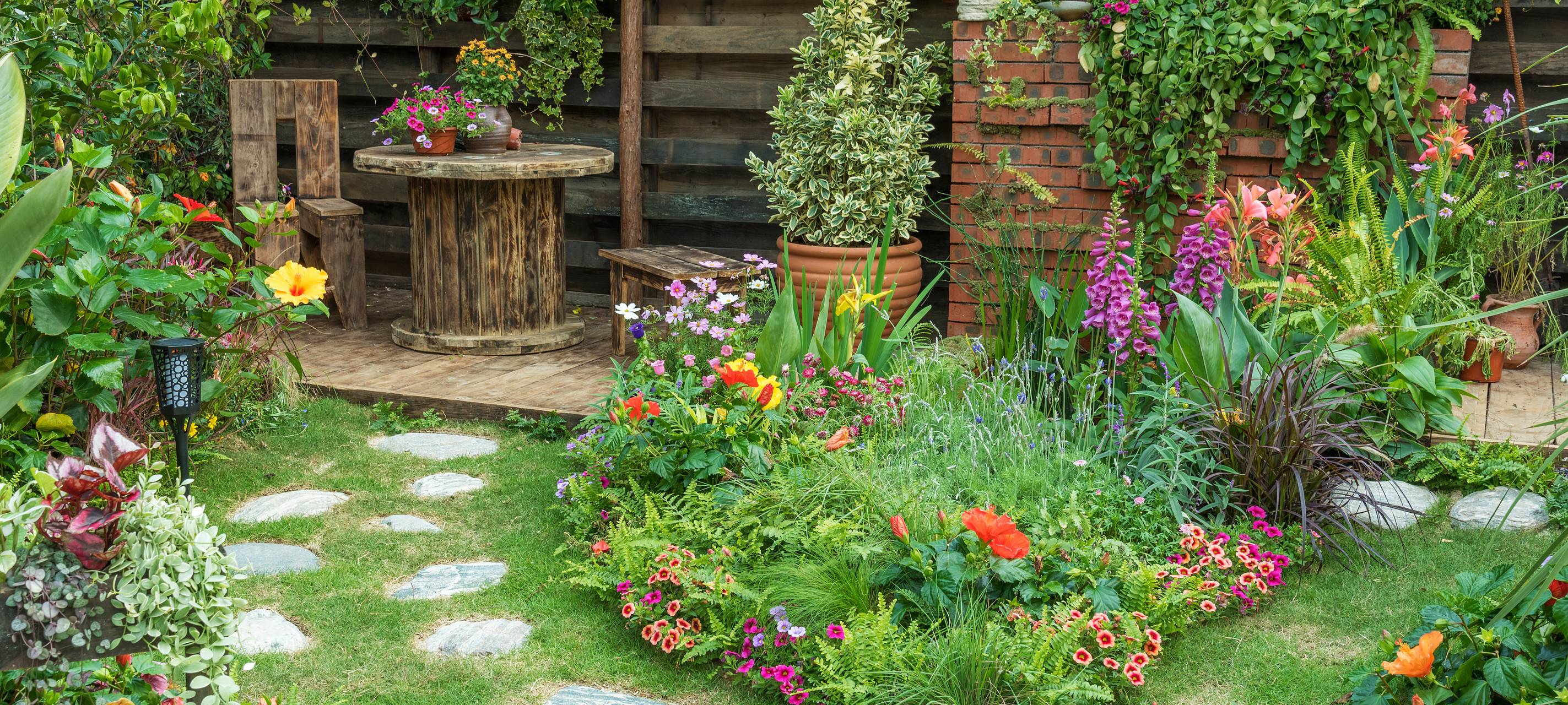 Gratis-Baumaktion in Willich, Nettetal, Niederkrüchten