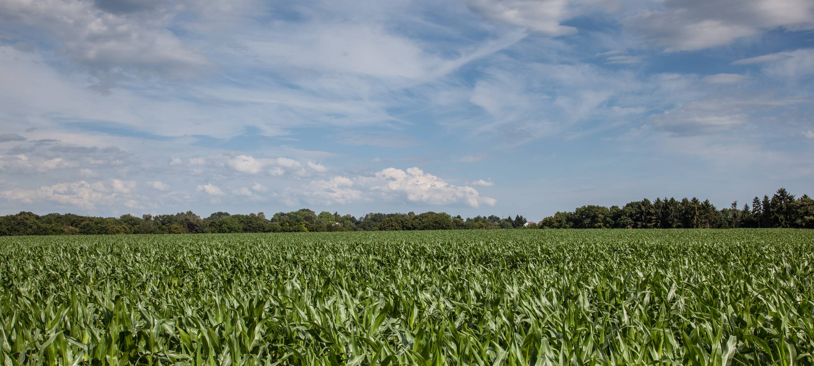 Solarpark im Landschaftsschutzgebiet: Nachbesserung nötig