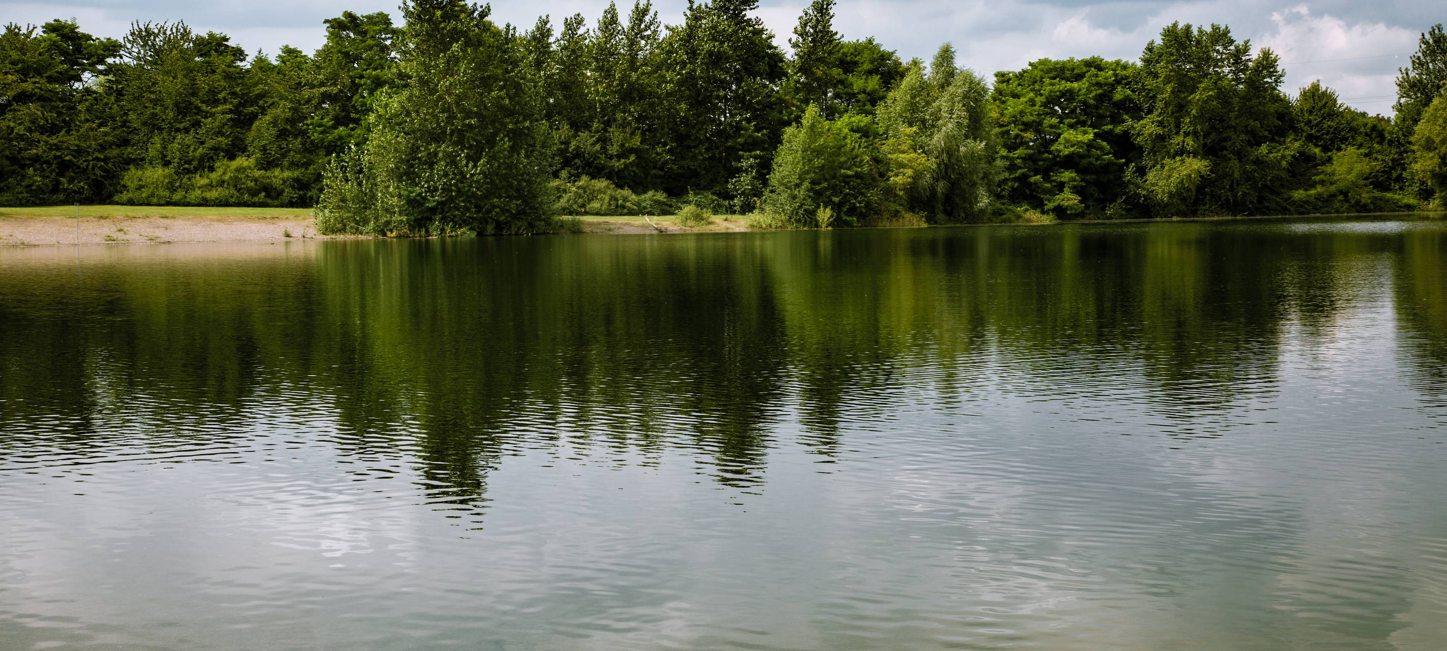 Blaualgen in der Nette