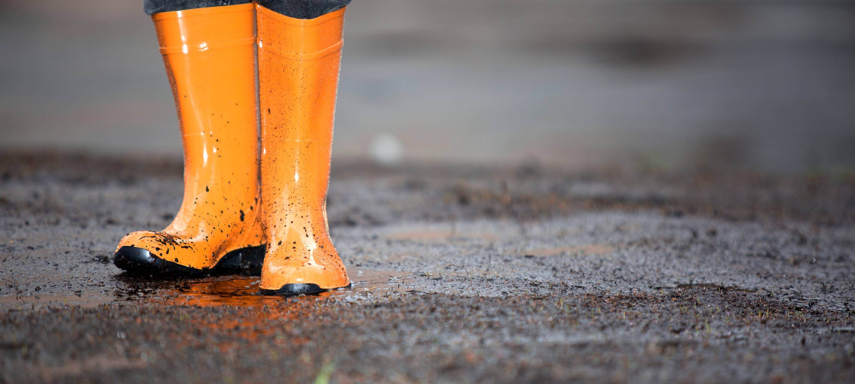 Frühling am Niederrhein mit Überdurchschnittlich viel Regen