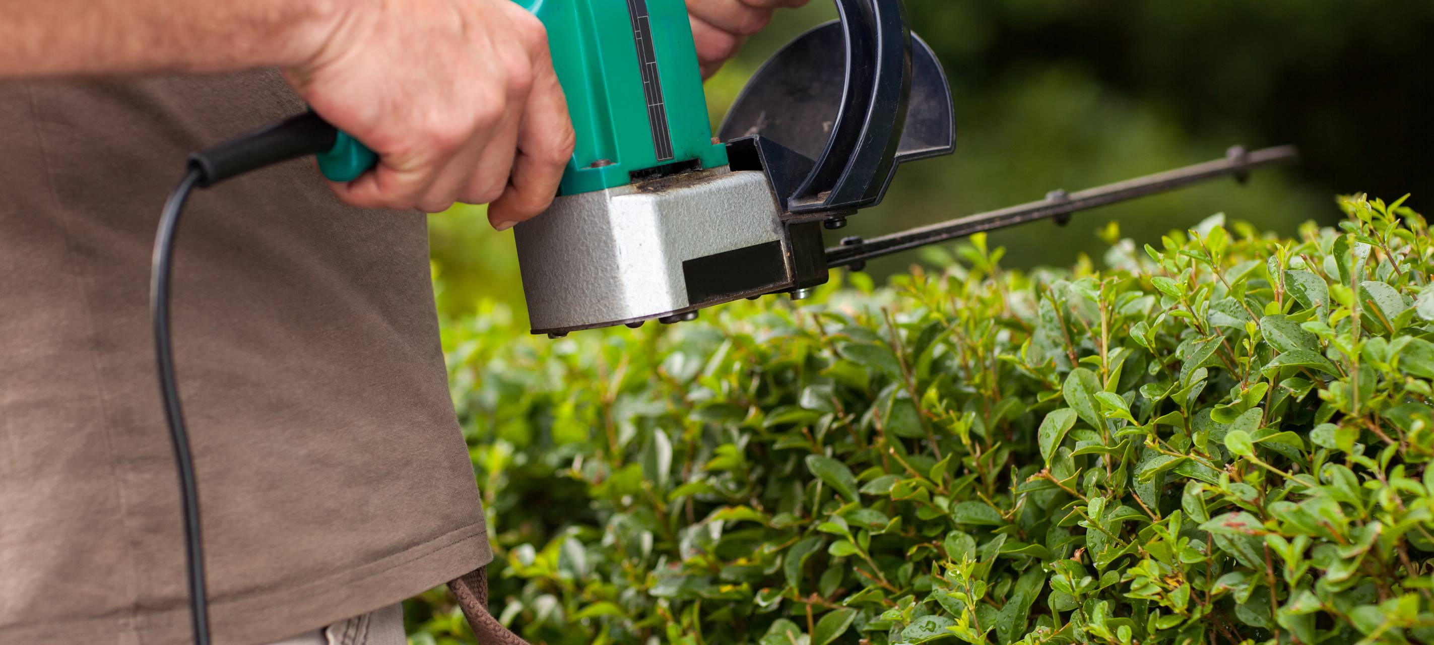 Niederrhein: Schonzeit für Gehölze startet am 1. März