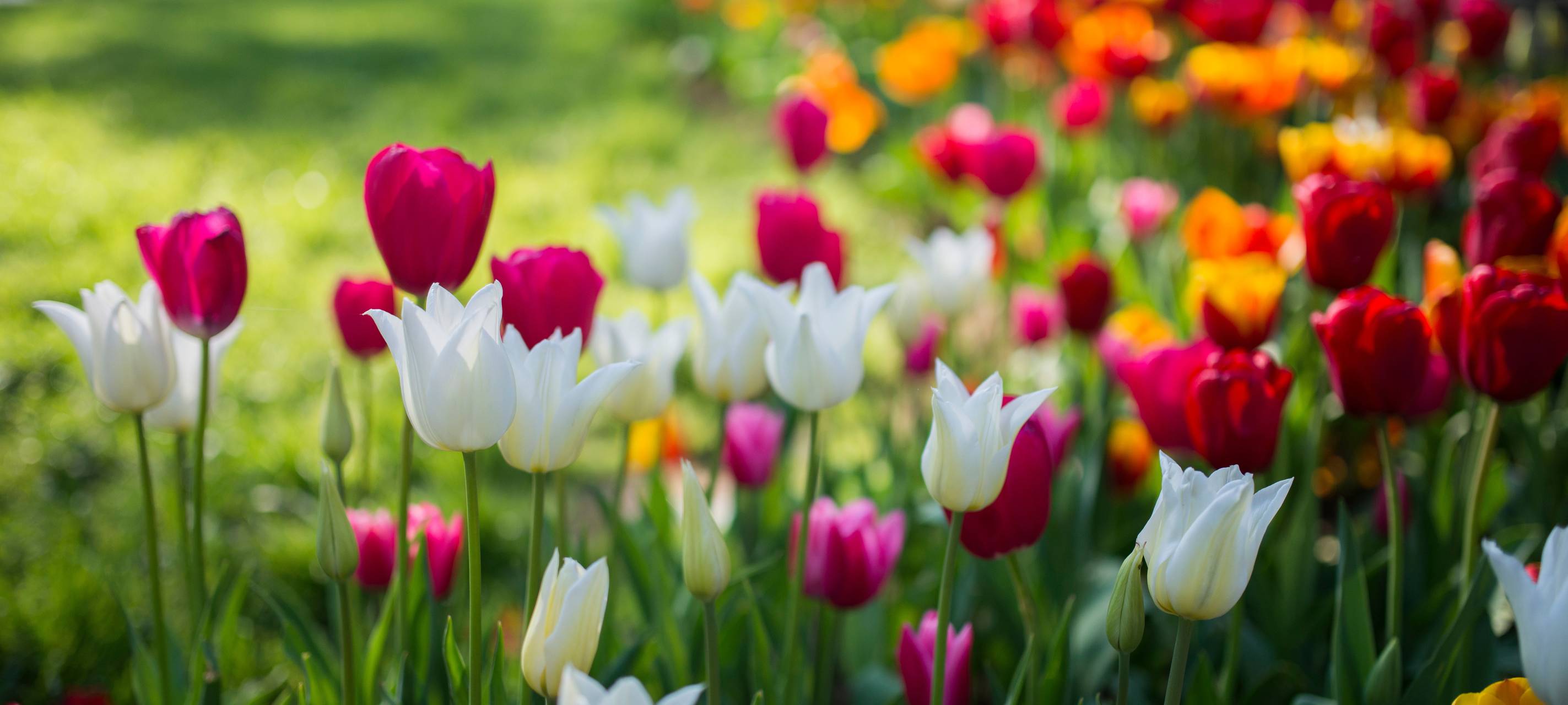 Friedhof Lobberich: Sammelkästen für Blumenzwiebeln