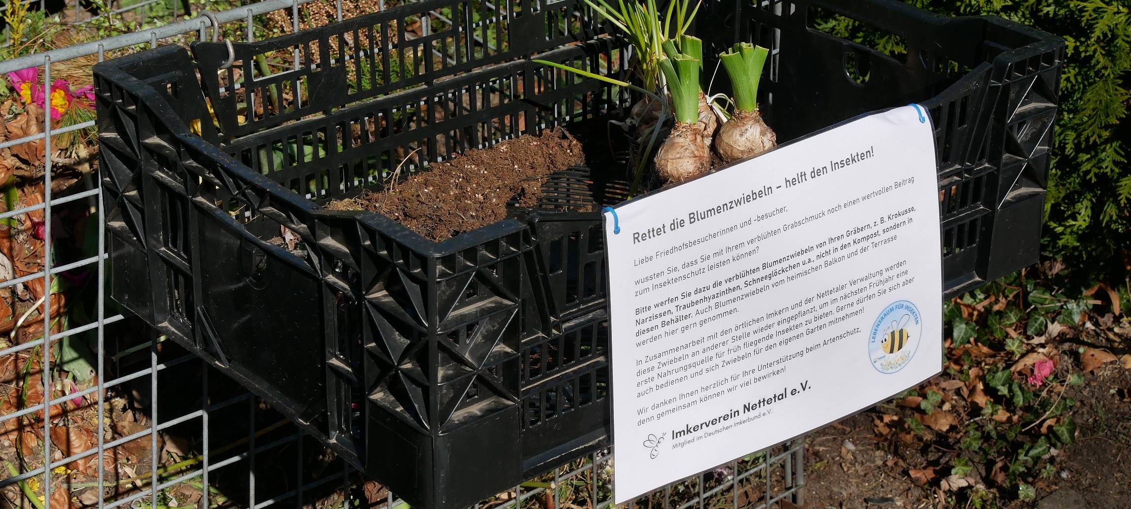 Zweites Leben für Blumenzwiebeln in Nettetal-Lobberich