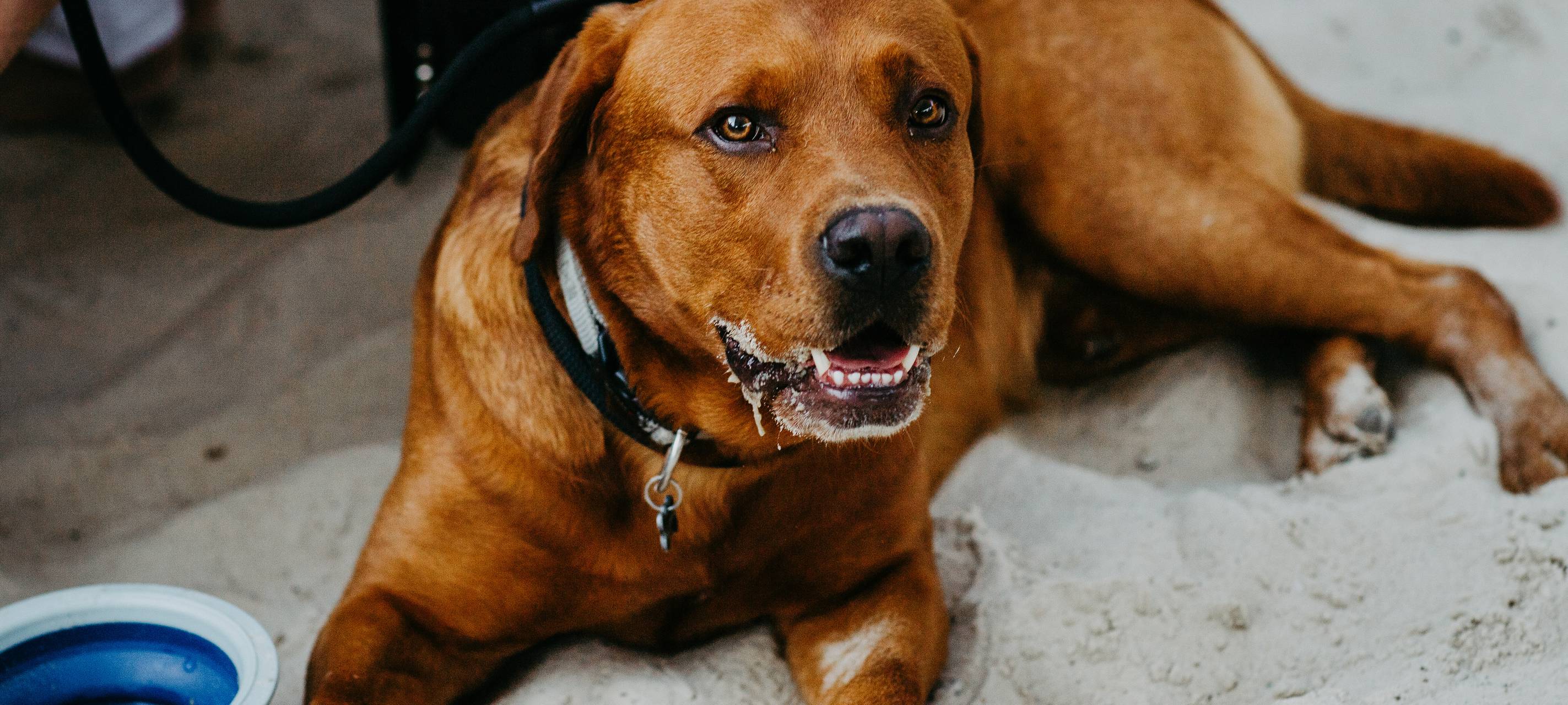 01. Juli: BeachClub Krefeld