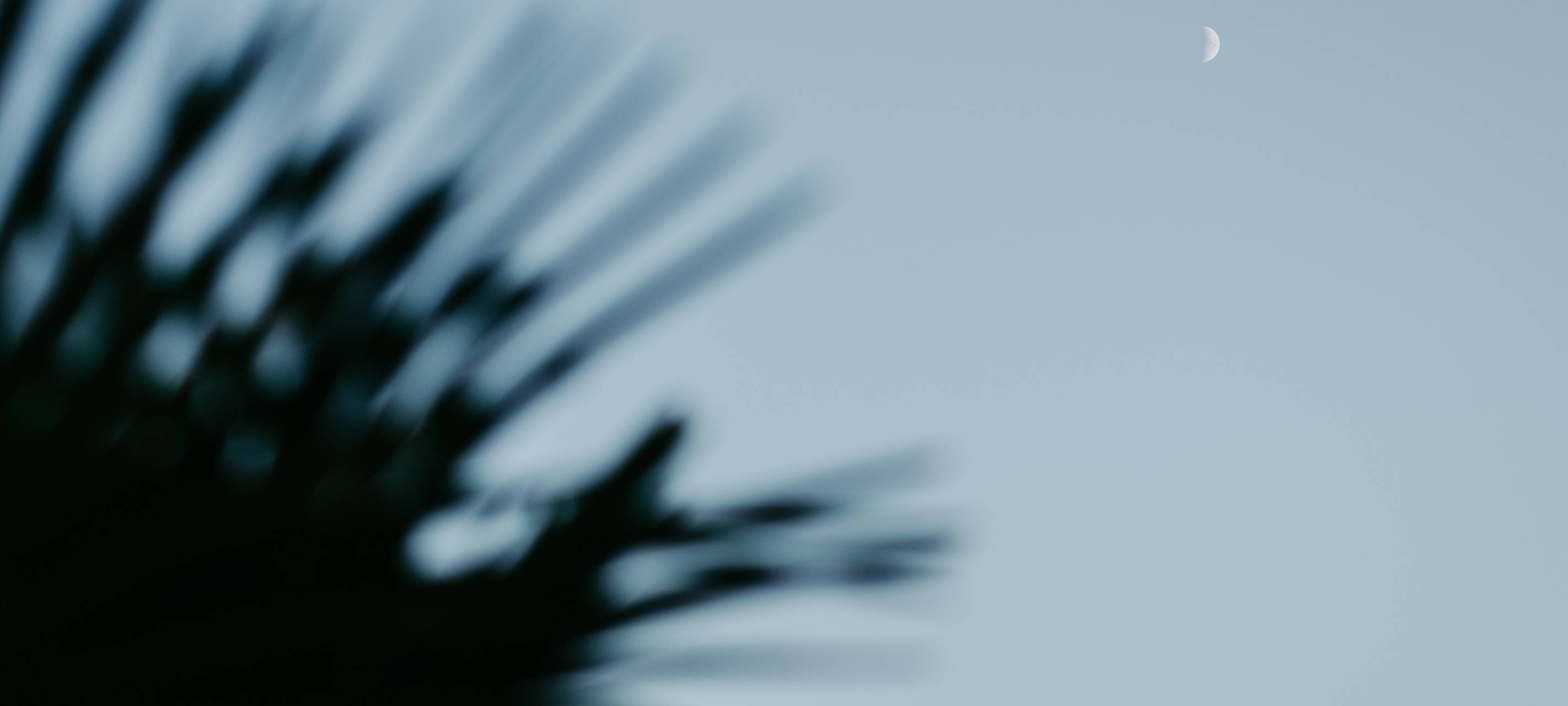 01. Juli: BeachClub Krefeld