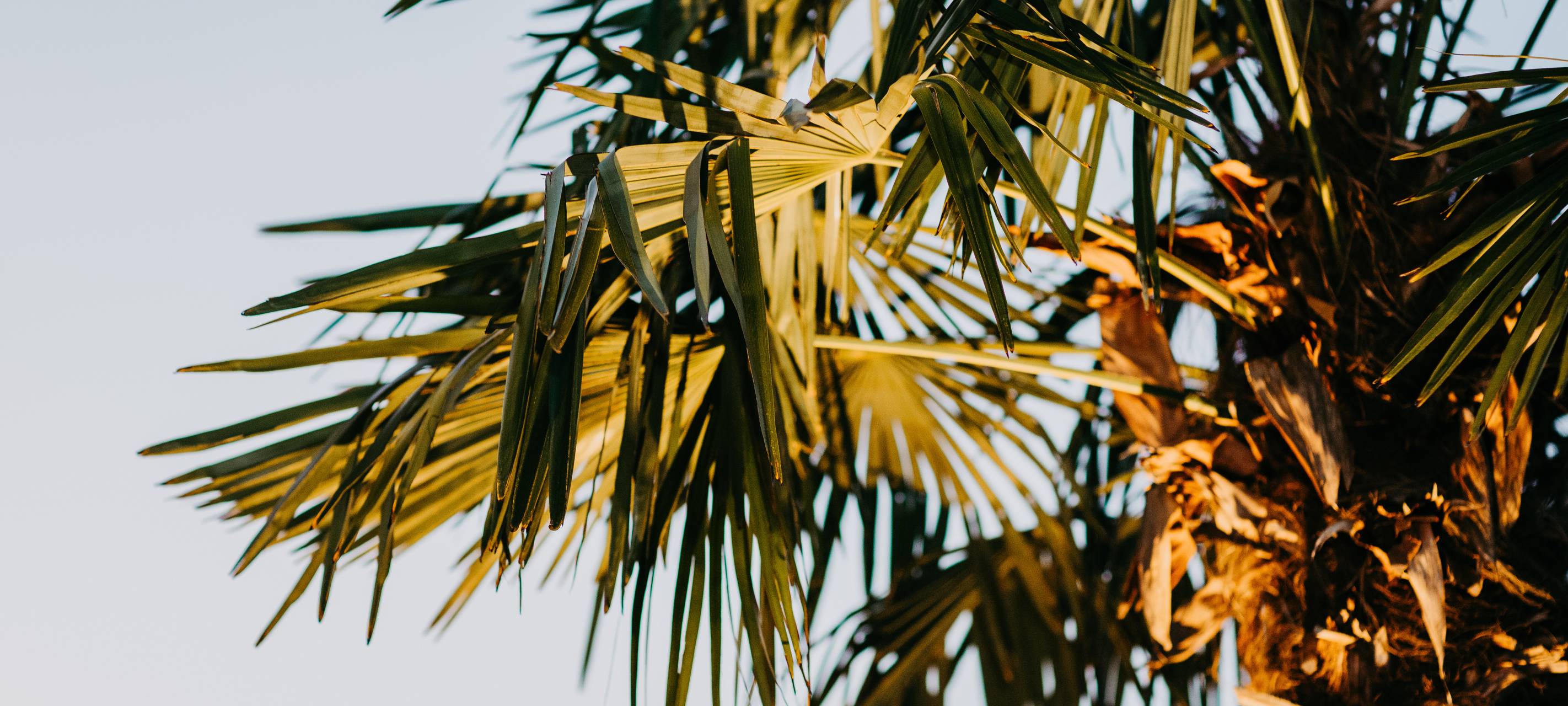 01. Juli: BeachClub Krefeld