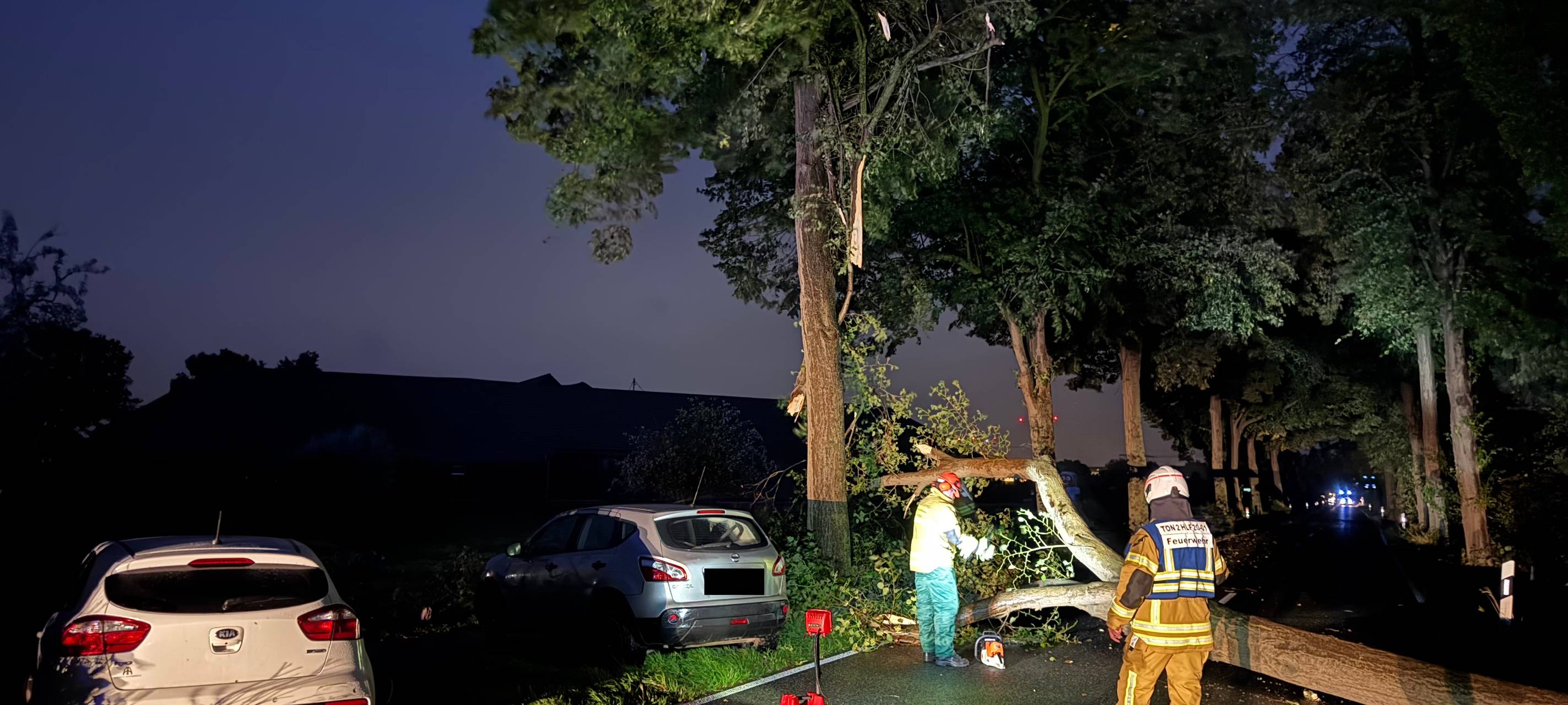 Tönisvorst/Anrath: Umgestürzter Baum führt zu Unfall