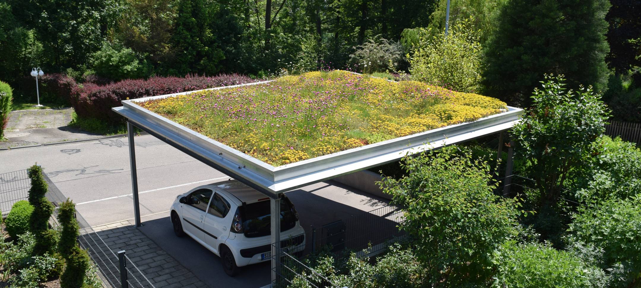 Zuschüsse für grüne Dächer in Viersen