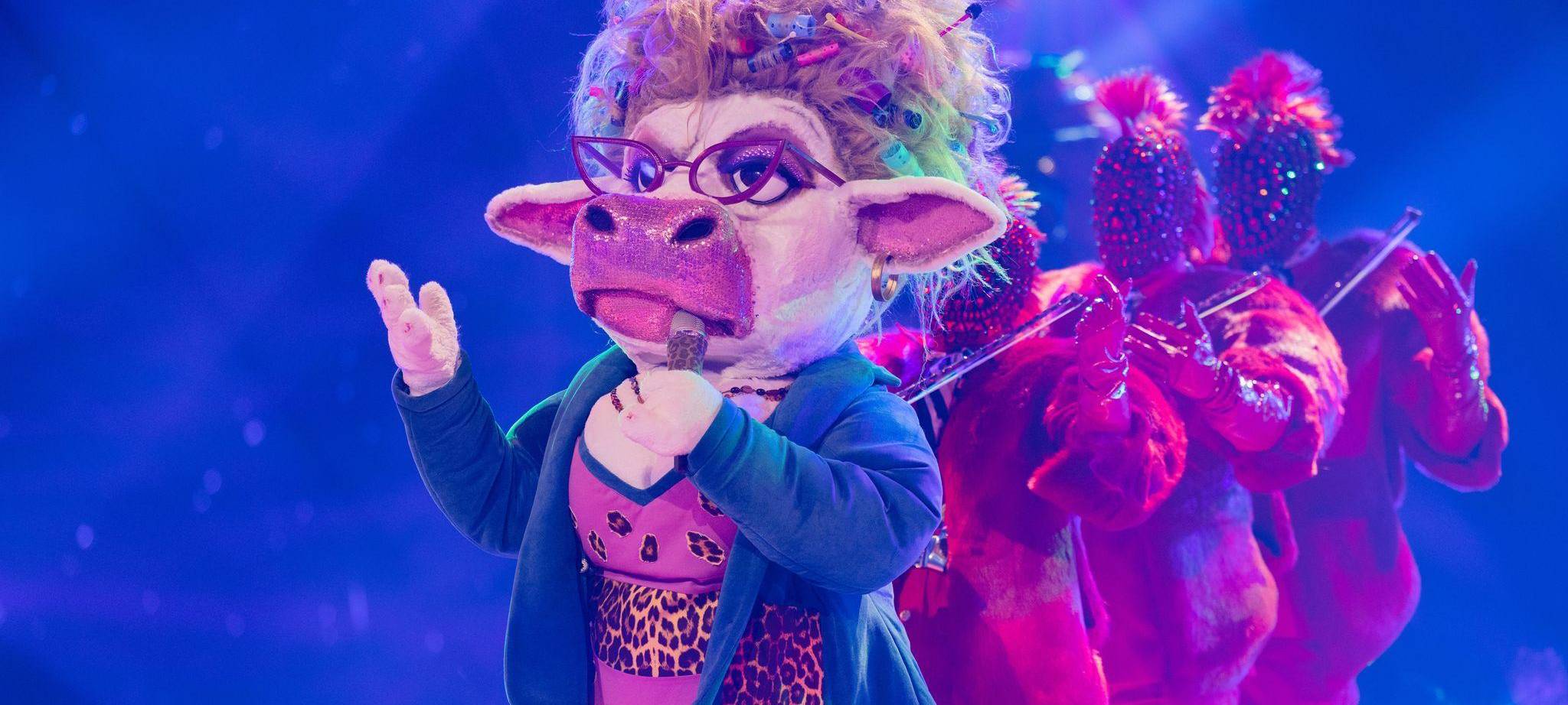 „The Masked Singer“ - Finale