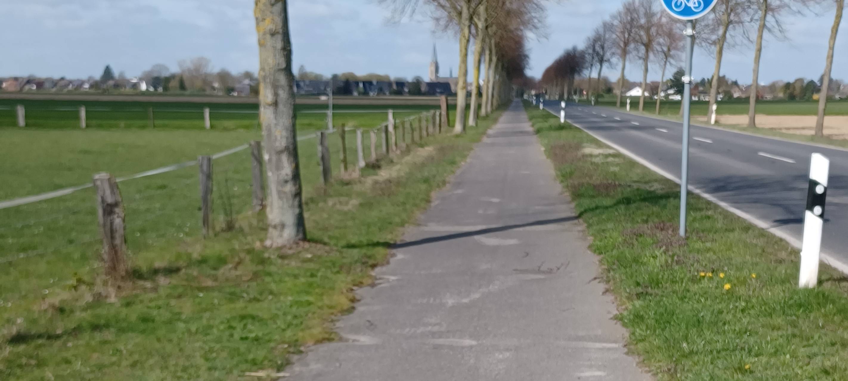 Radweg an K19 in Willich wird erneuert