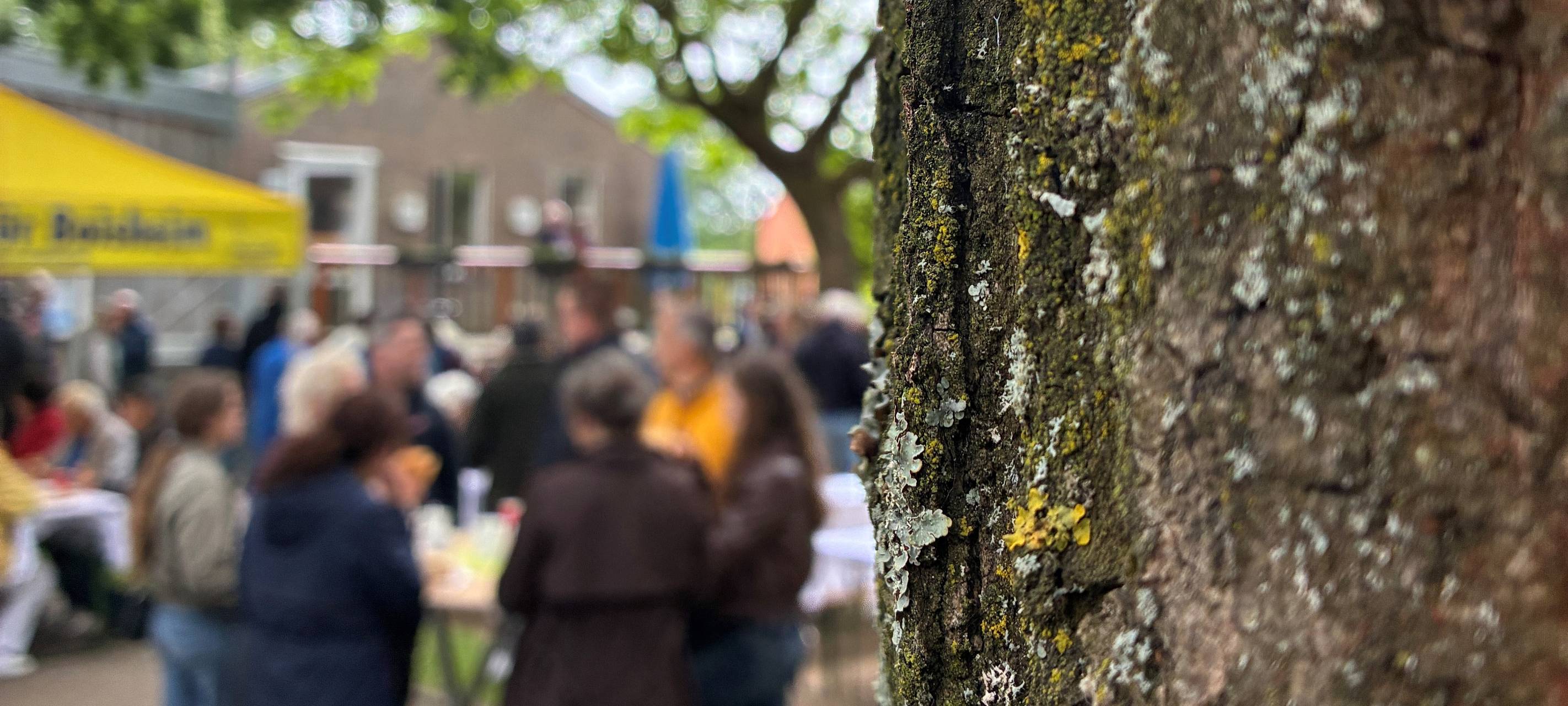 Boisheim holt Bronze bei „Unser Dorf hat Zukunft“