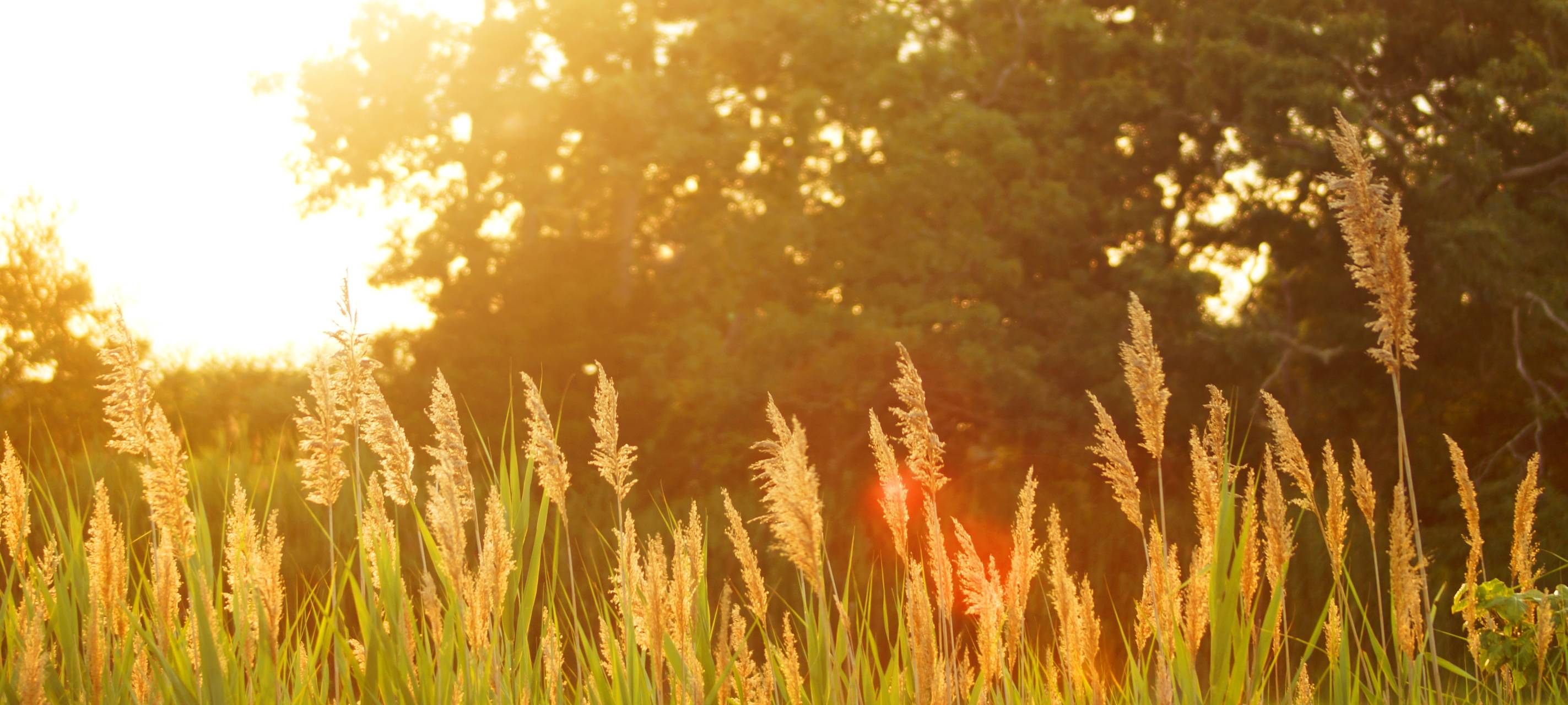 Interaktive Karte für Hitzetage im Kreis Viersen