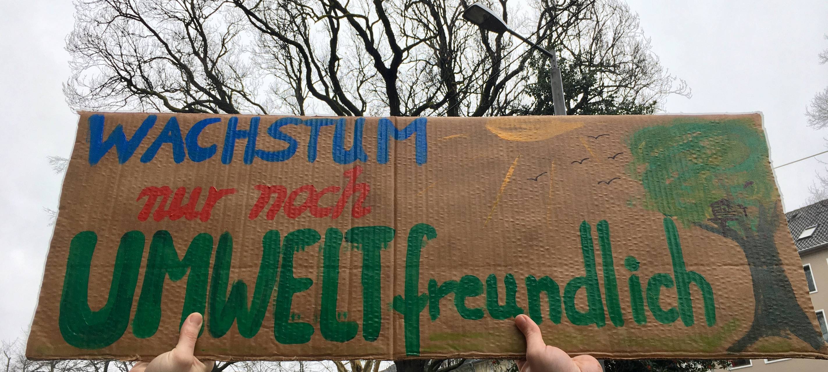 FFF-Krefeld heute in Neuss dabei